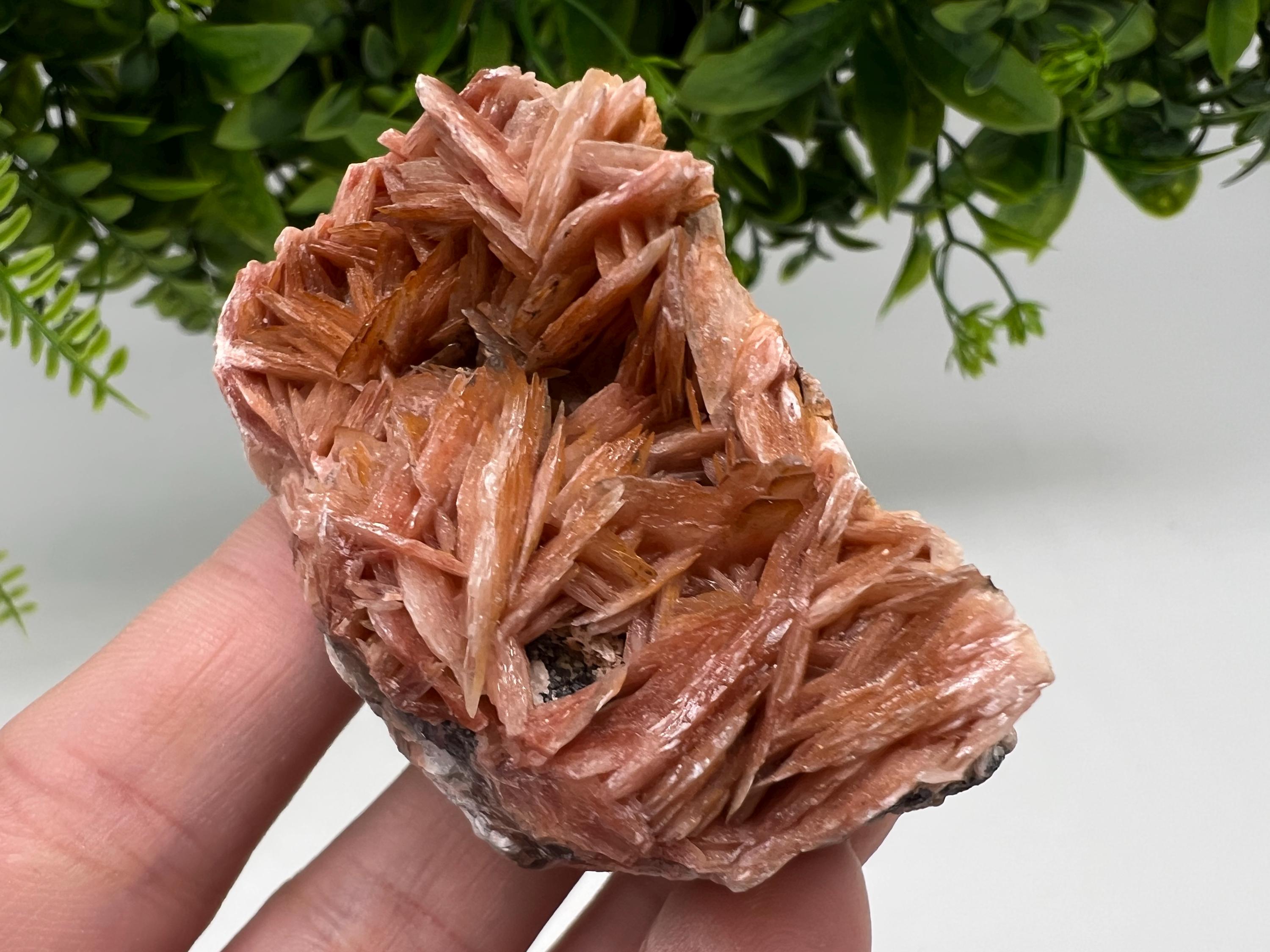 Wonderful Baryte with Cerussite on Galena from Morocco,Crystal, Mineral,Specimen,Cluster,Crystals,Barite Crystal,Cerussite Crystal,Specimen