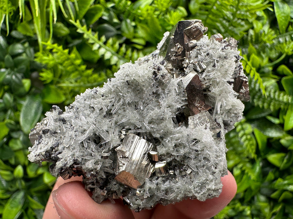 Pyrite on Quartz with Chlorite: Natural Crystal Home Decor from Bulgaria