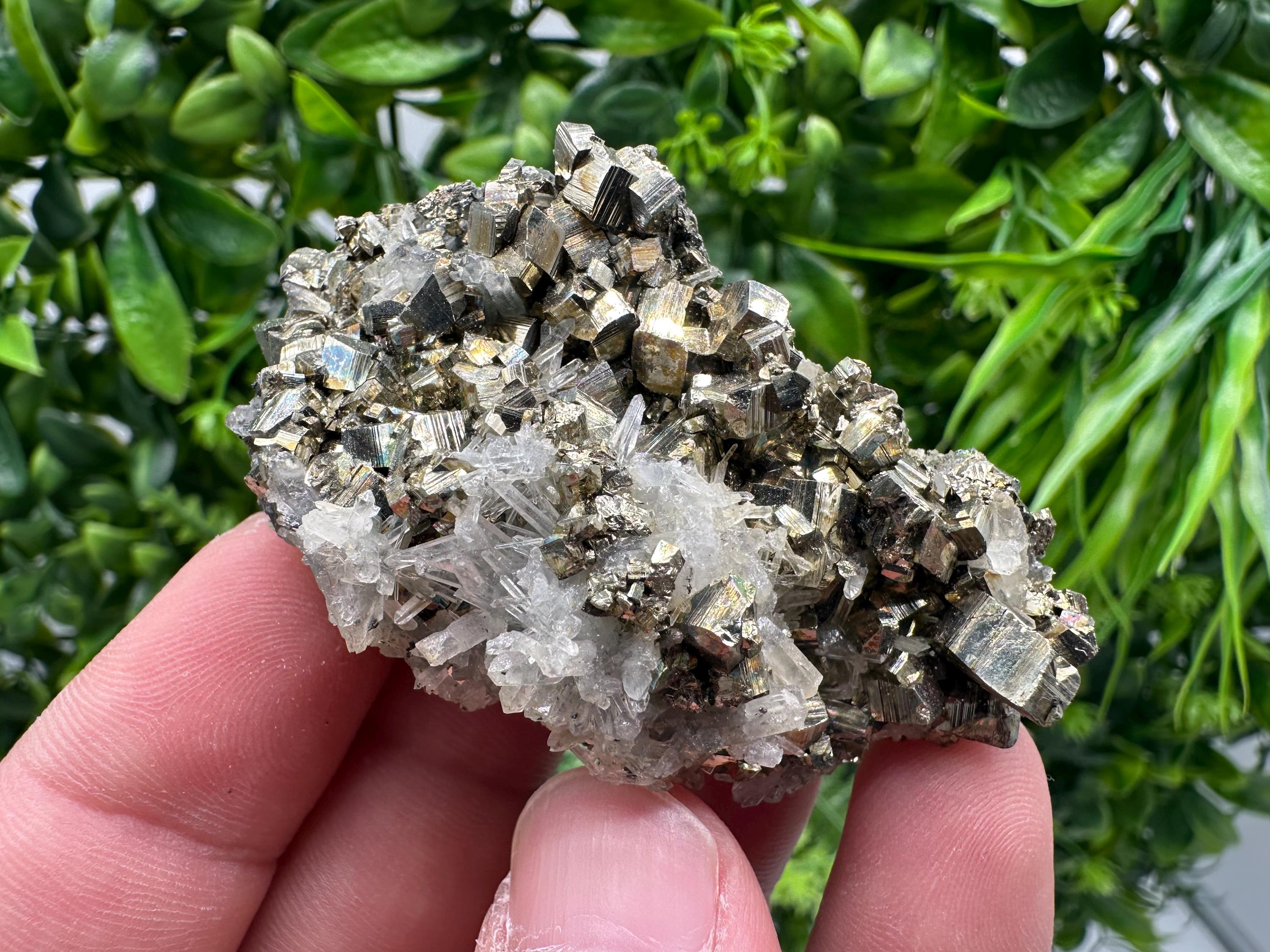 Rainbow Pyrite with Sphalerite on Quartz: Natural Crystal Home Decor