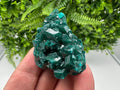 Stunning Green Dioptase from Sanda Hills,Mindouli,Pool Department,Mindouli District,Congo,green Dioptase,Dioptas Crystal,Dioptase collecting