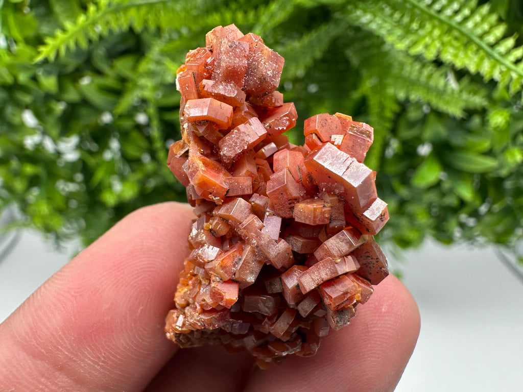 Red Vanadinite on Barite from Marocco,crystal minerals Speciment cluster Vanadinite crystal Vanadinite Geology Vanadinite cluster minerals