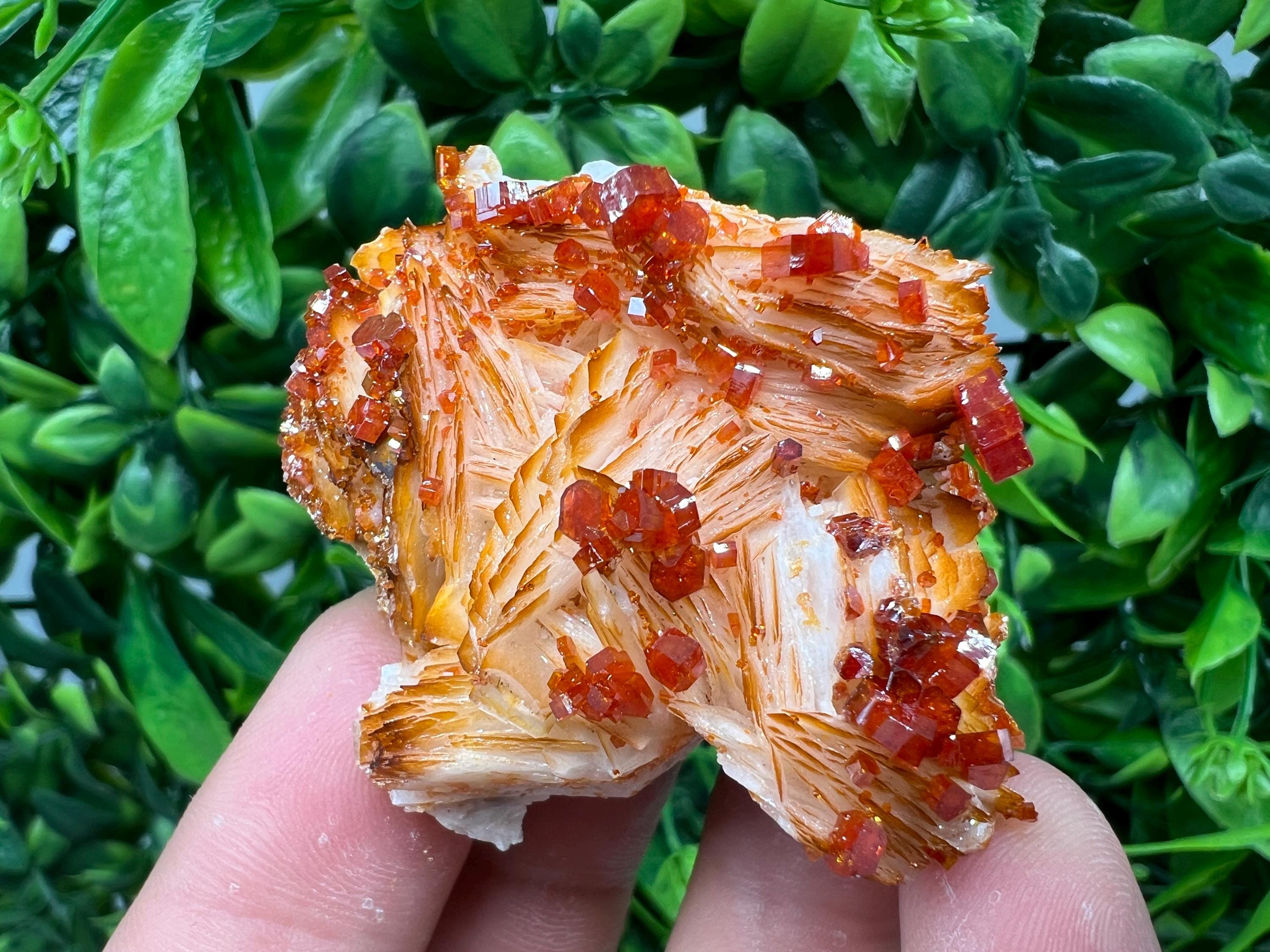 Red Vanadinite on Barite from Marocco,crystal minerals Speciment cluster Vanadinite crystal Vanadinite Geology Vanadinite cluster minerals
