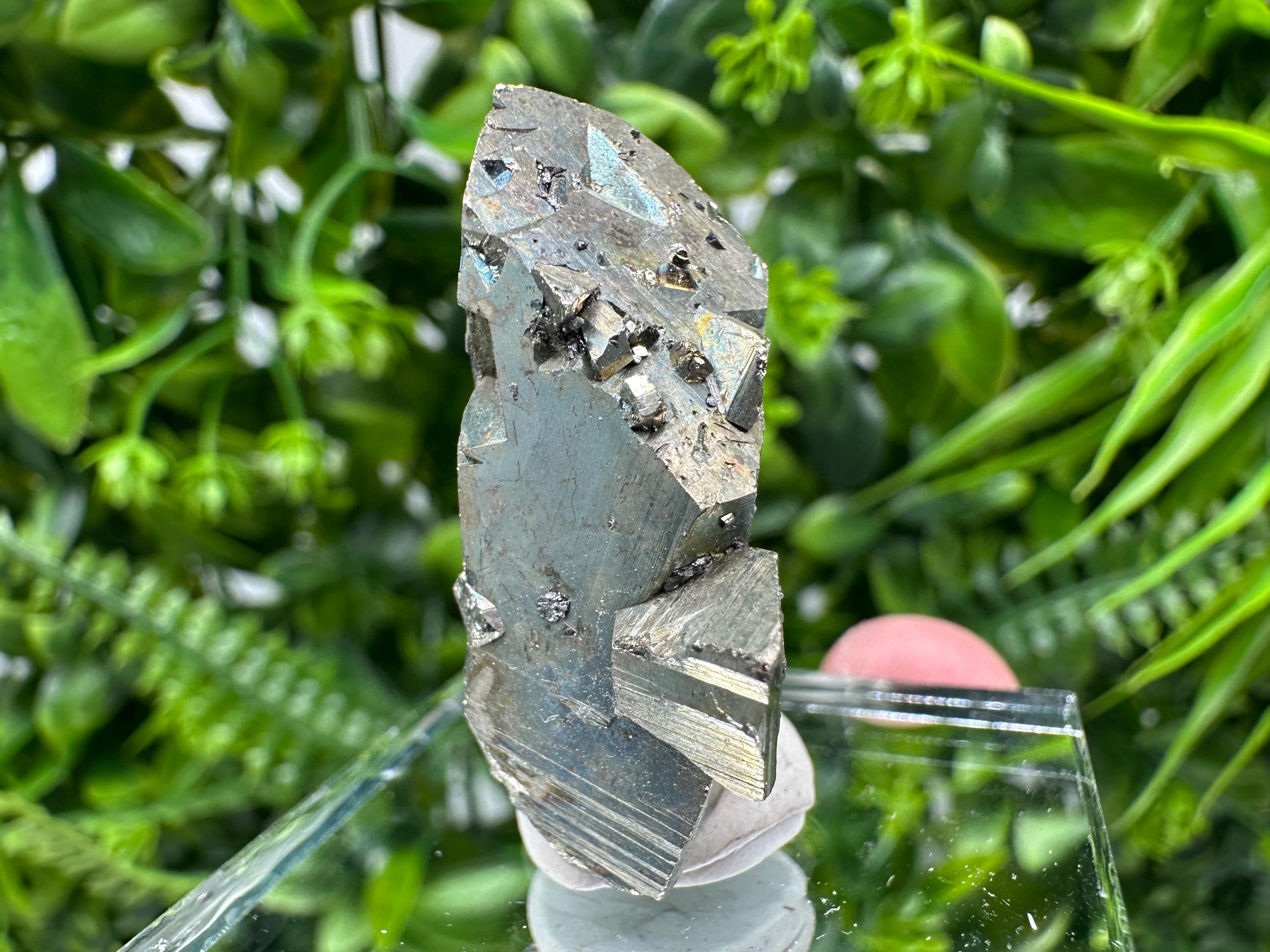 Rare Mini Pyrite Cluster: Borieva Mine, Bulgaria