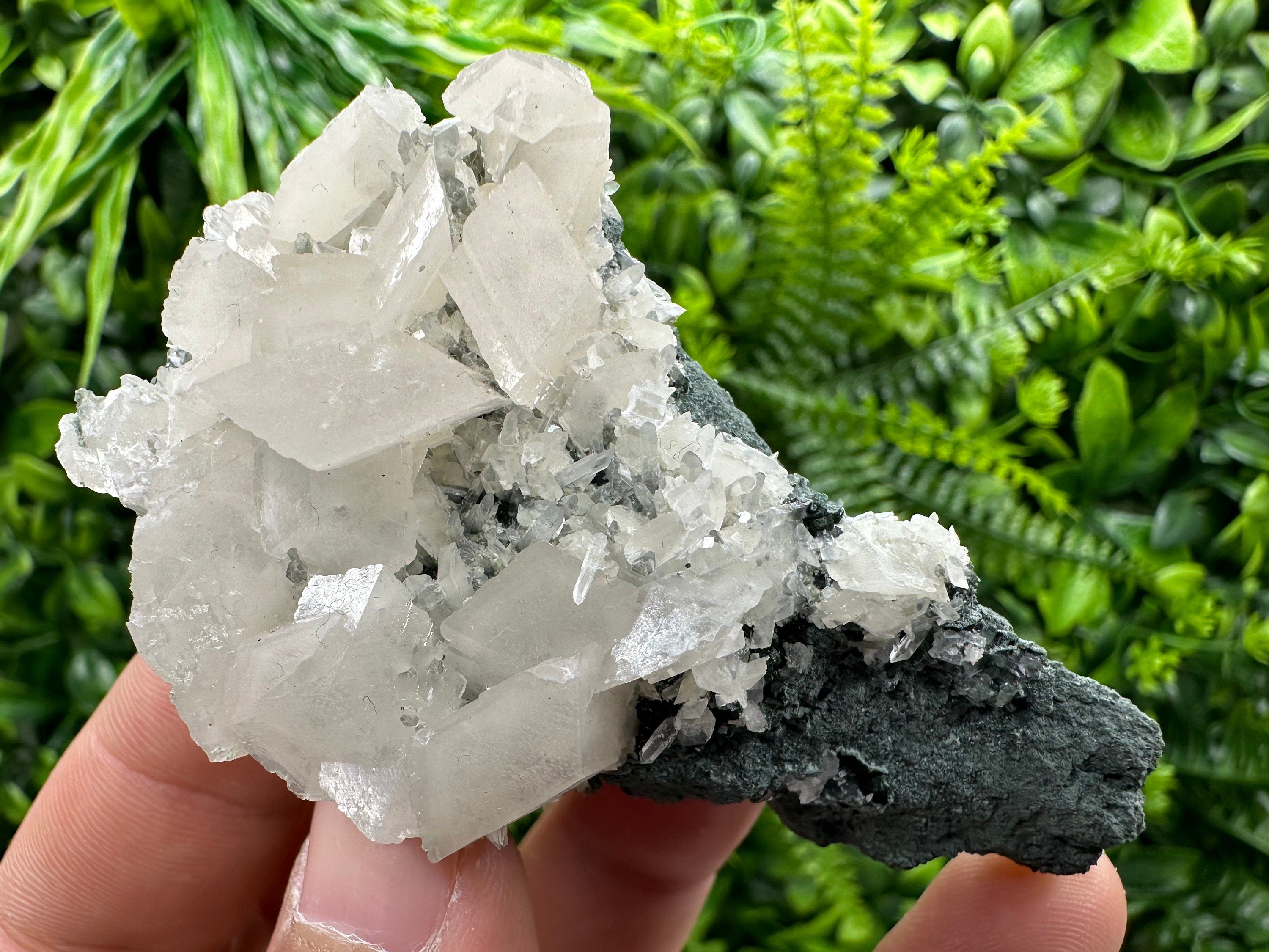Calcite on Matrix, Borieva Mine Bulgaria, Rare Mineral Specimen