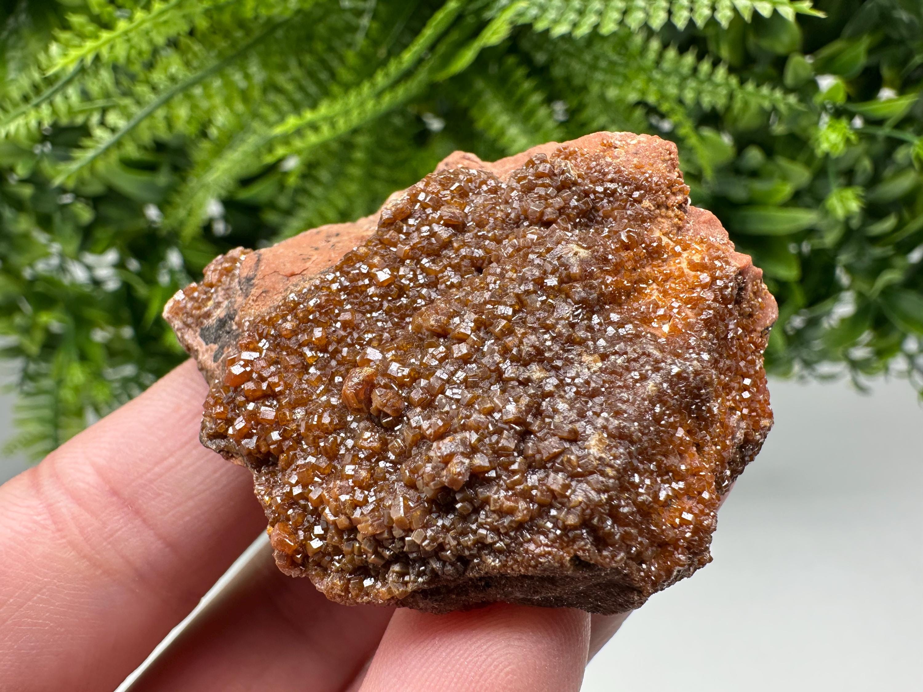 Red Vanadinite on Matrix from Marocco,crystal minerals Speciment cluster Vanadinite crystal Vanadinite Geology Vanadinite cluster minerals