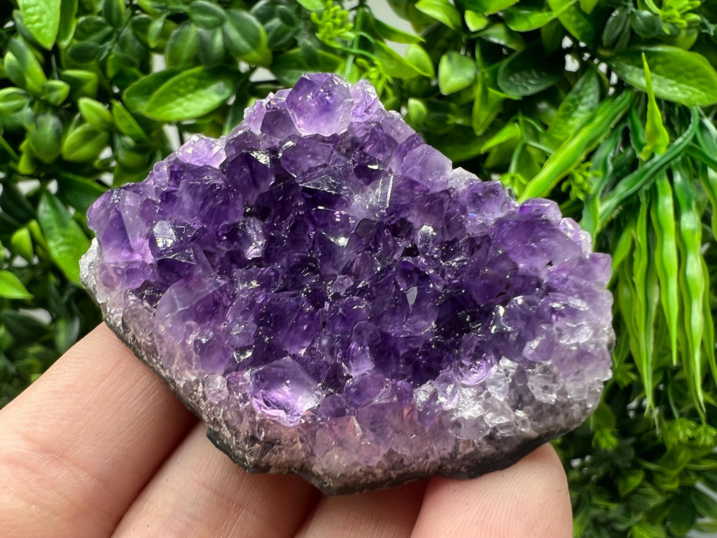 Uruguay Amethyst Crystal: Purple Quartz Phantom - Home Decor