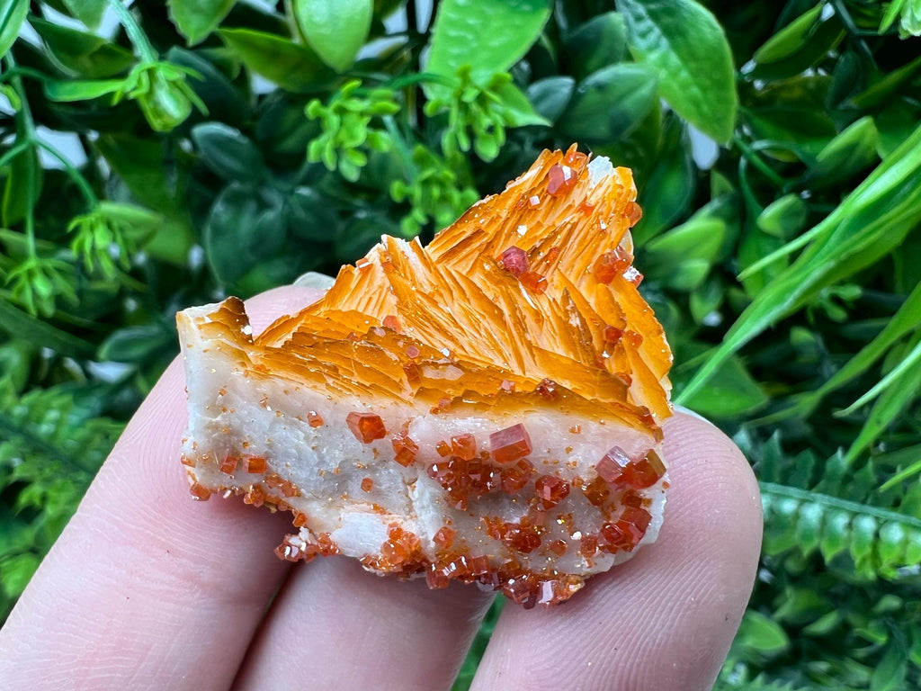 Red Vanadinite on Barite from Marocco,crystal minerals Speciment cluster Vanadinite crystal Vanadinite Geology Vanadinite cluster minerals