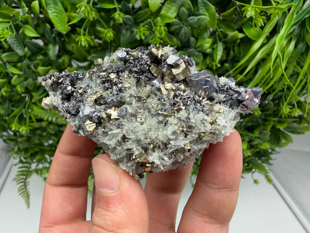 Pyrite Sphalerite Quartz  Mineral Specimen, Krushev dol Mine
