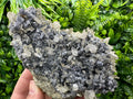 Calcite Quartz on Galena Mineral Specimen: Borieva Mine, Bulgaria