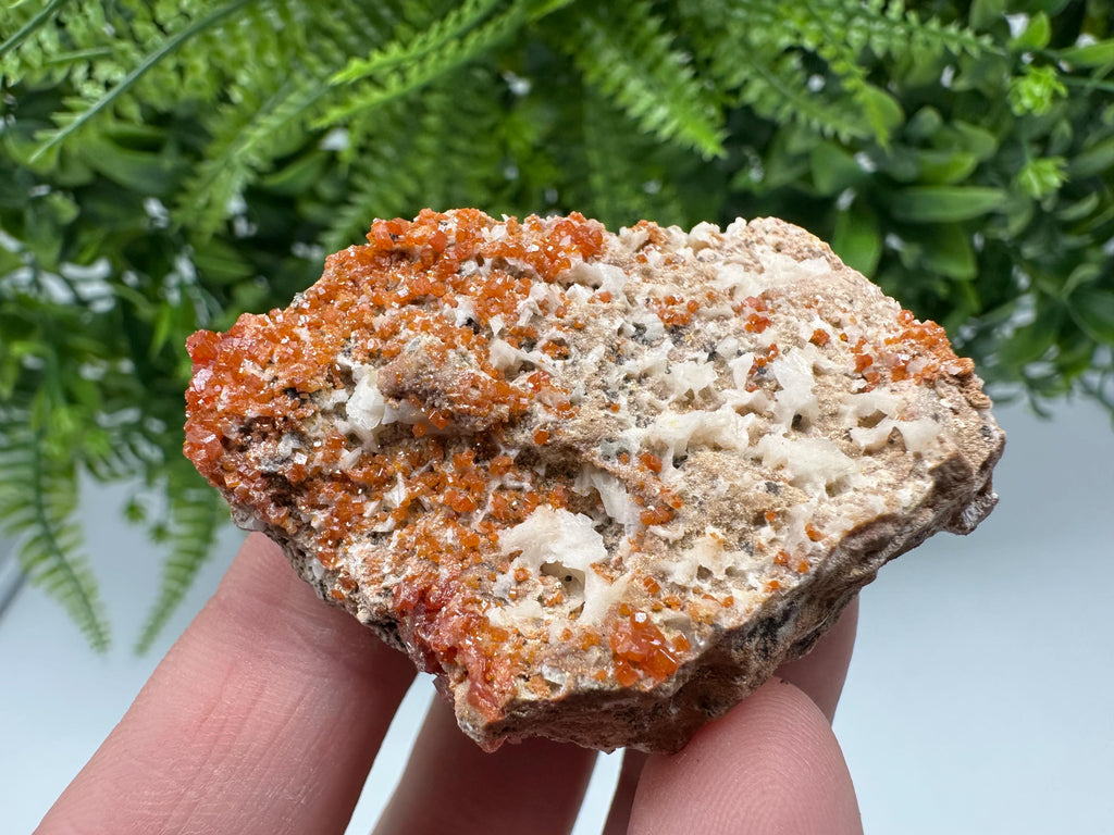 Red Vanadinite on Matrix from Marocco,crystal minerals Speciment cluster Vanadinite crystal Vanadinite Geology Vanadinite cluster minerals