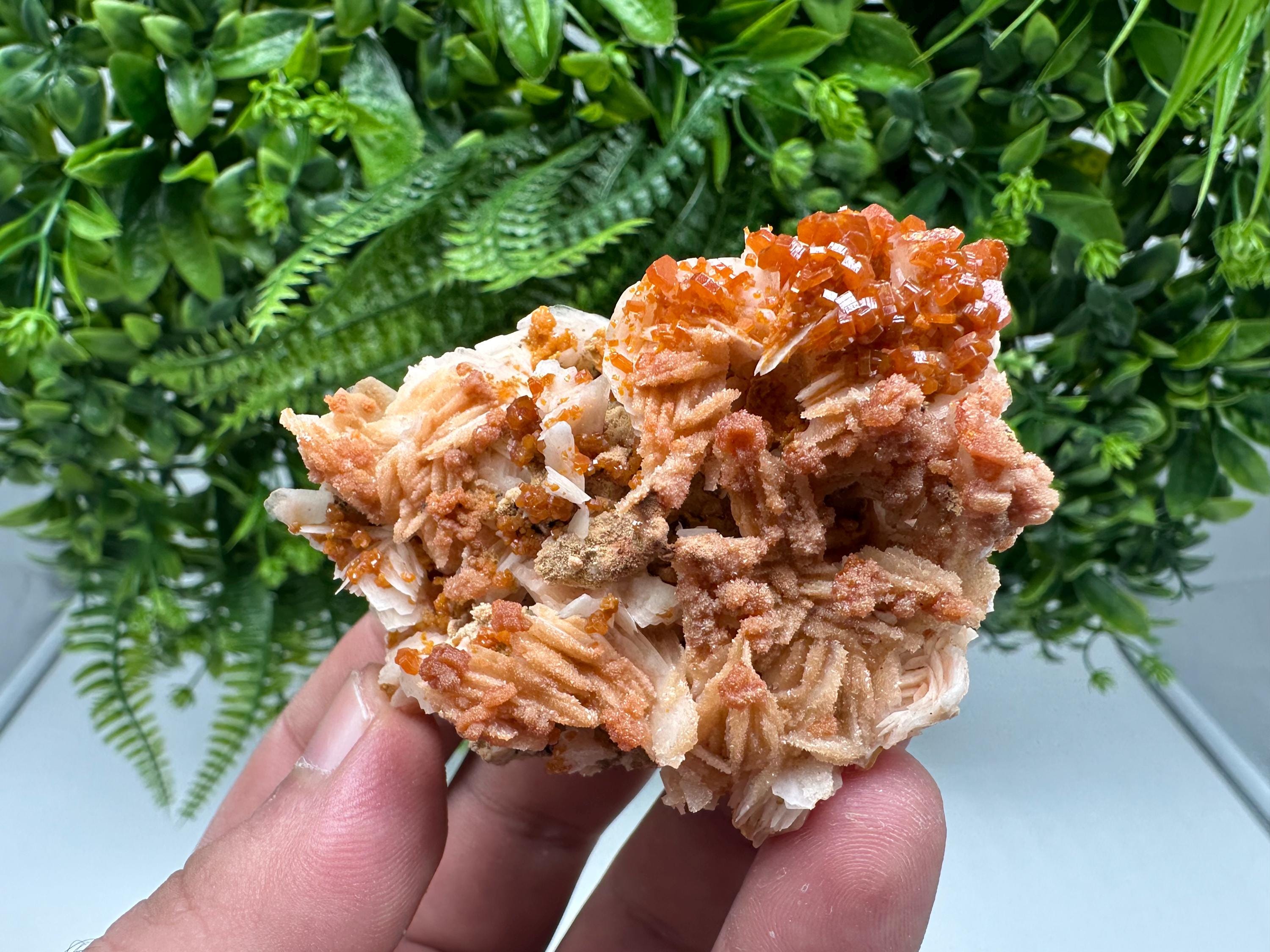 Red Vanadinite on Barite from Marocco,crystal minerals Speciment cluster Vanadinite crystal Vanadinite Geology Vanadinite cluster minerals