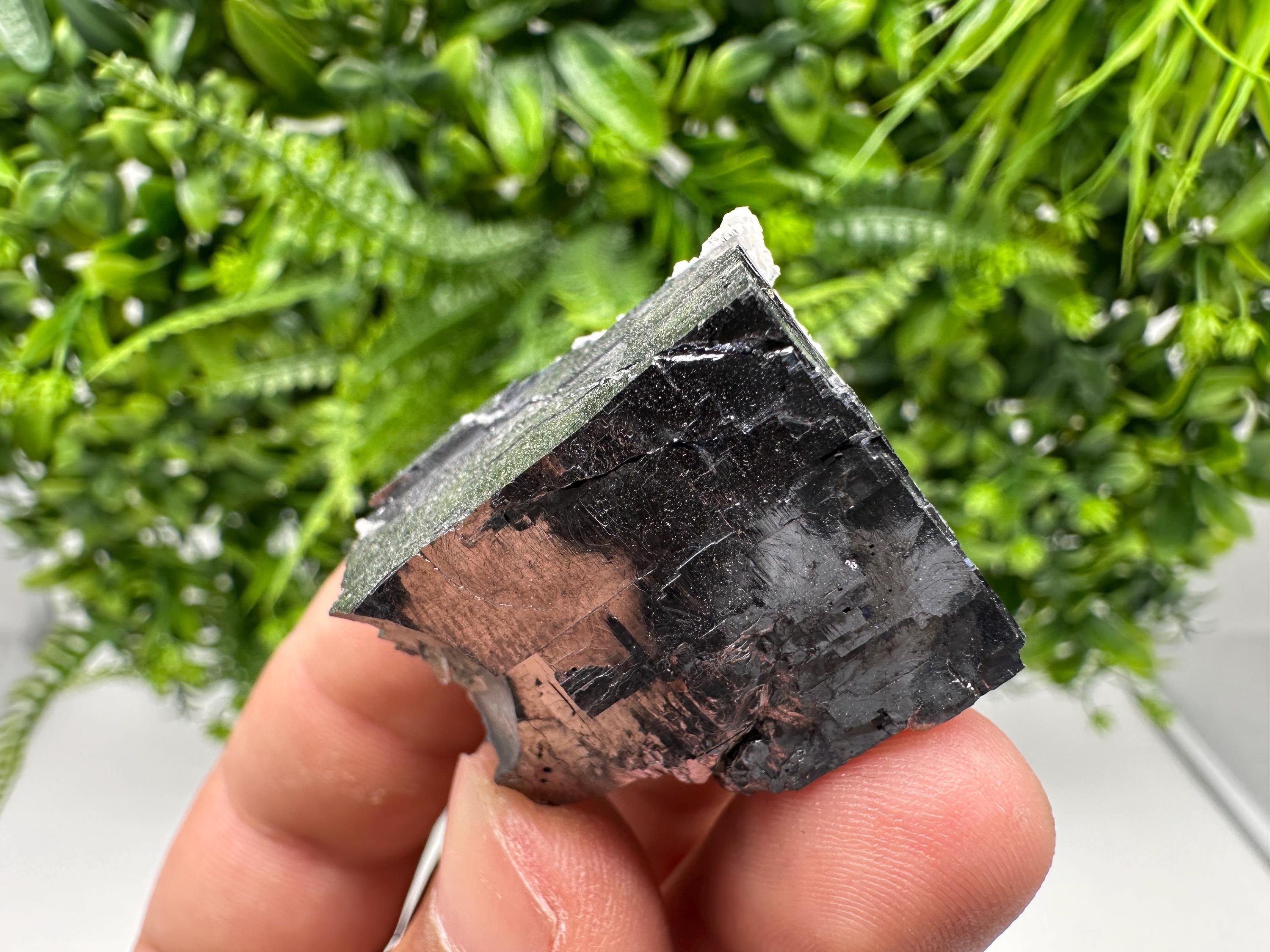 Shiny Galena Cluster, Borieva Mine, Madan Bulgaria