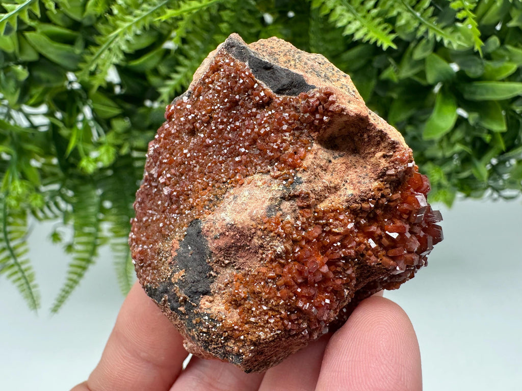 Red Vanadinite on Matrix from Marocco,crystal minerals Speciment cluster Vanadinite crystal Vanadinite Geology Vanadinite cluster minerals
