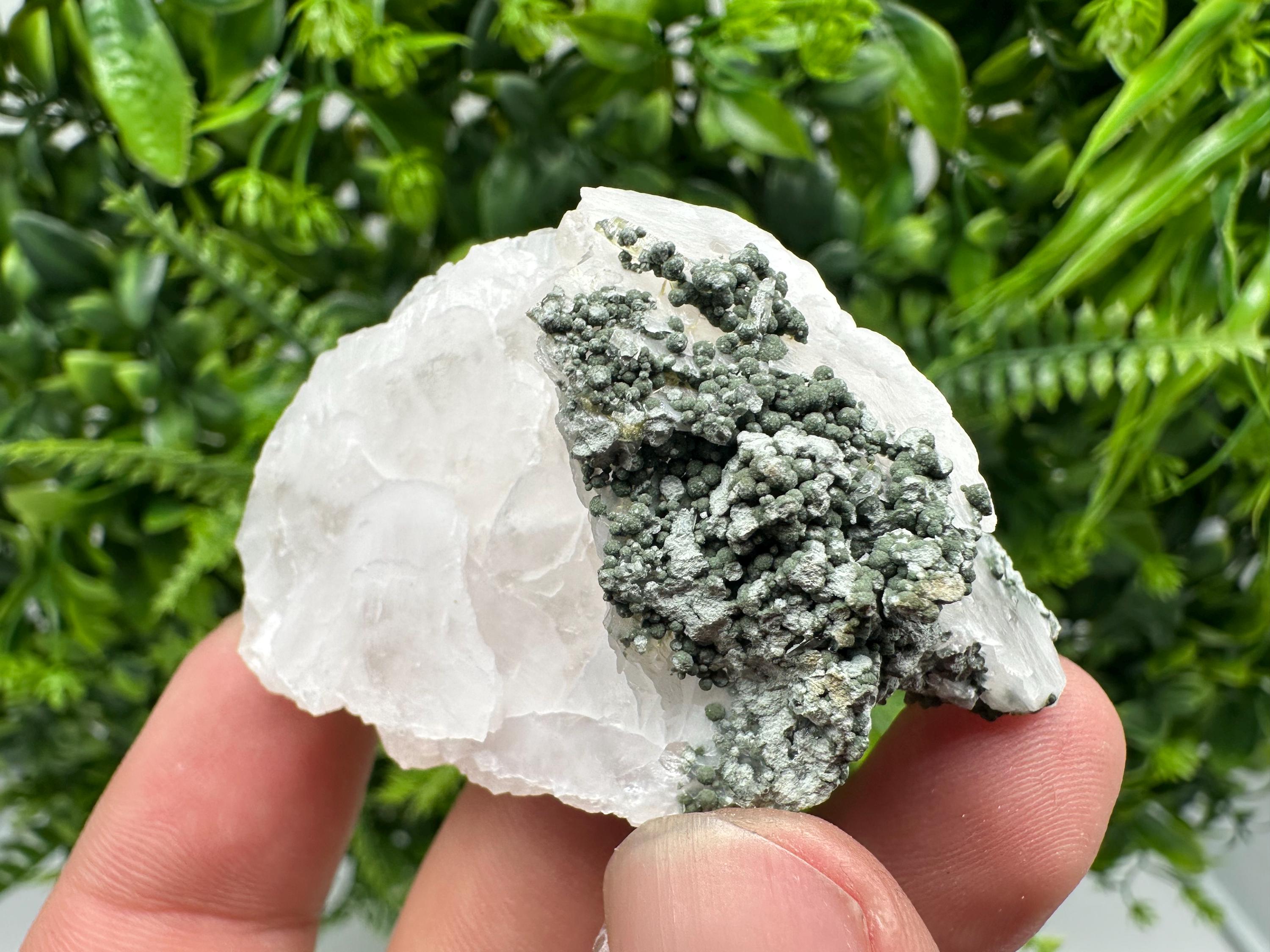 Calcite on Green Quartz: Djurcovo Mine, Bulgaria Crystal