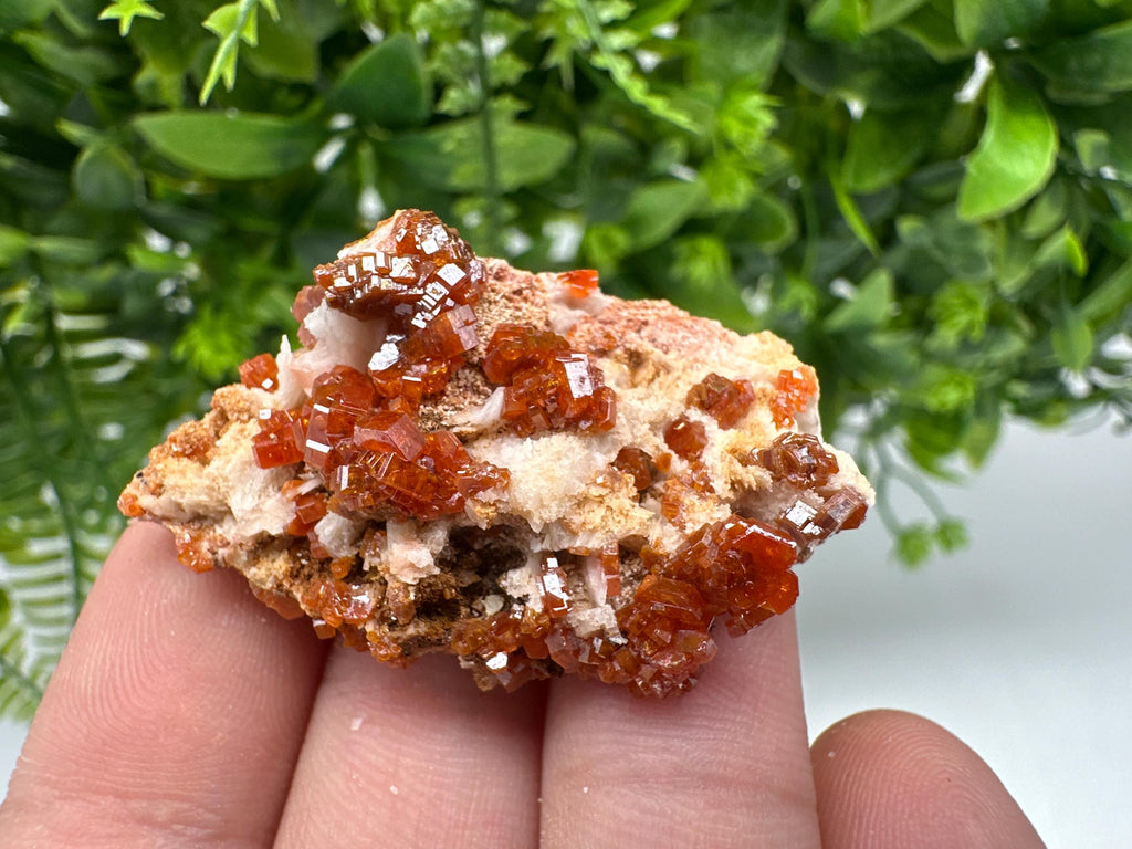 Red Vanadinite on Barite from Marocco,crystal minerals Speciment cluster Vanadinite crystal Vanadinite Geology Vanadinite cluster minerals