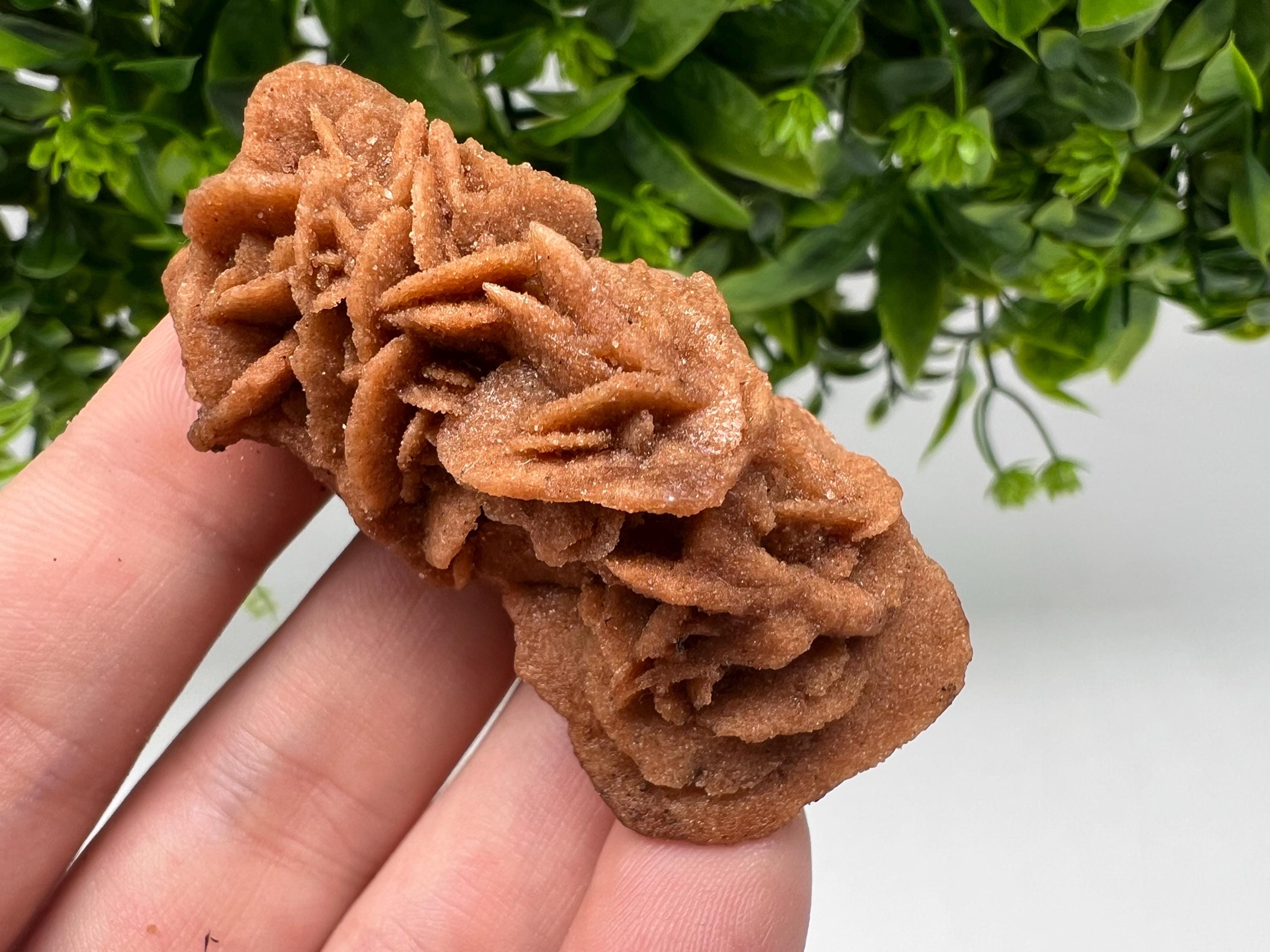 Desert Rose Crystal: Root Chakra Healing Selenite Stone