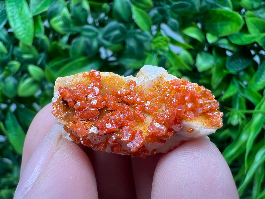 Red Vanadinite on Barite from Marocco,crystal minerals Speciment cluster Vanadinite crystal Vanadinite Geology Vanadinite cluster minerals
