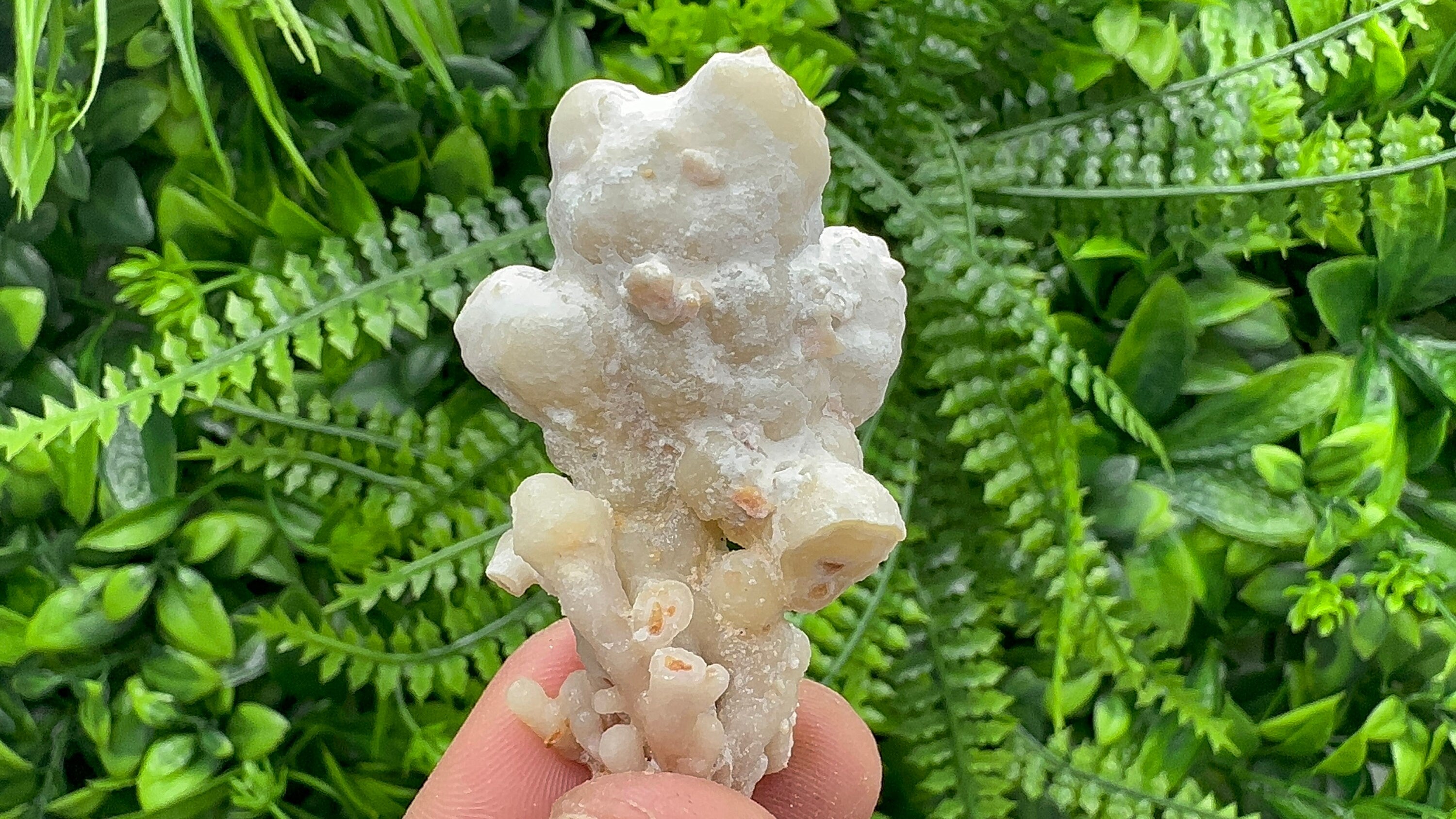 Aragonite Cluster, Bulgaria Mineral Specimen, Home Decor Stone (3/6/2.5cm)