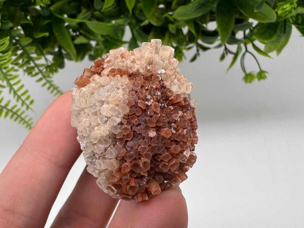 Extra Large Aragonite Sputnik Cluster: Moroccan Raw Crystal Stone