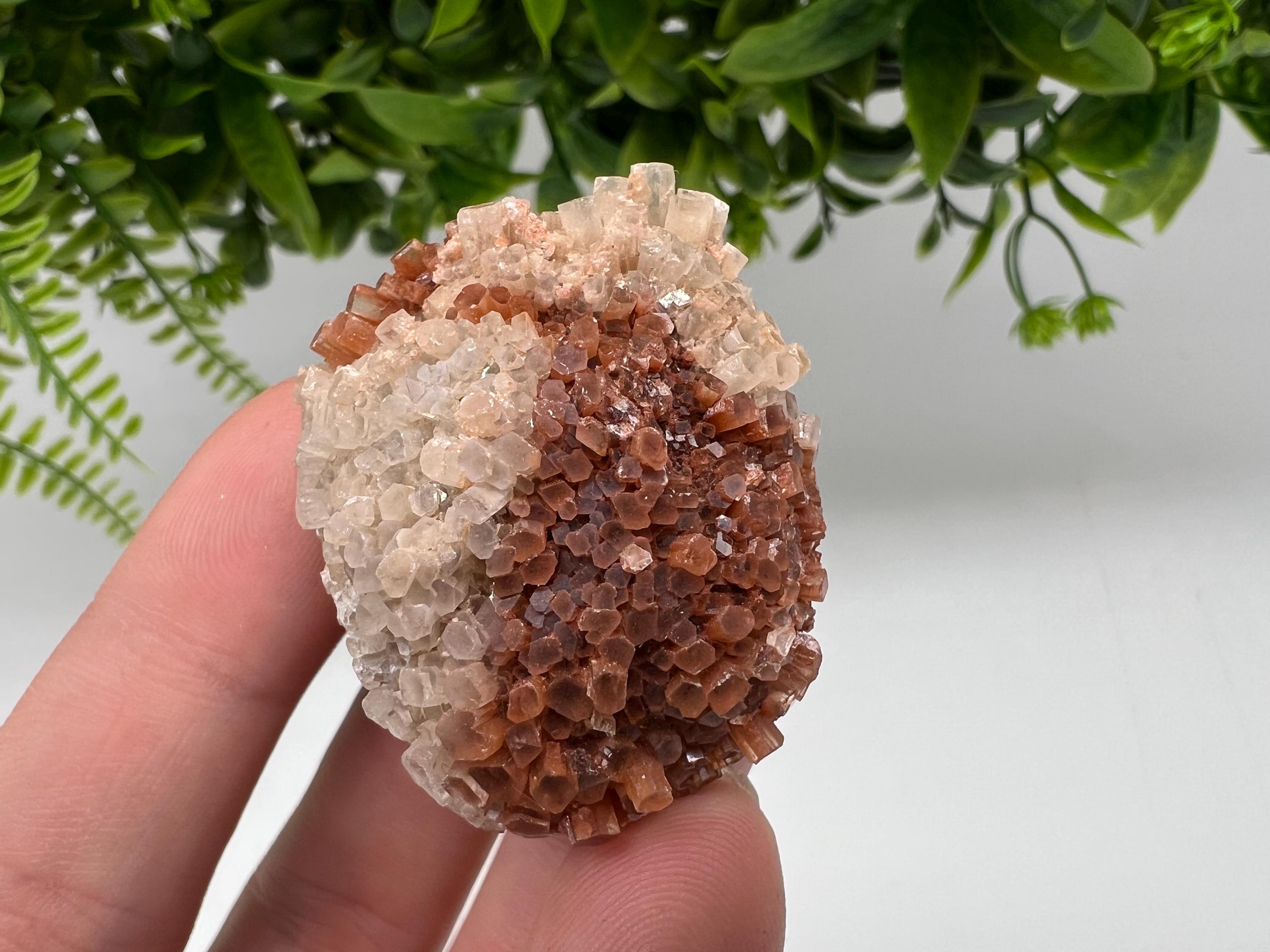 Extra Large Aragonite Sputnik Cluster: Moroccan Raw Crystal Stone