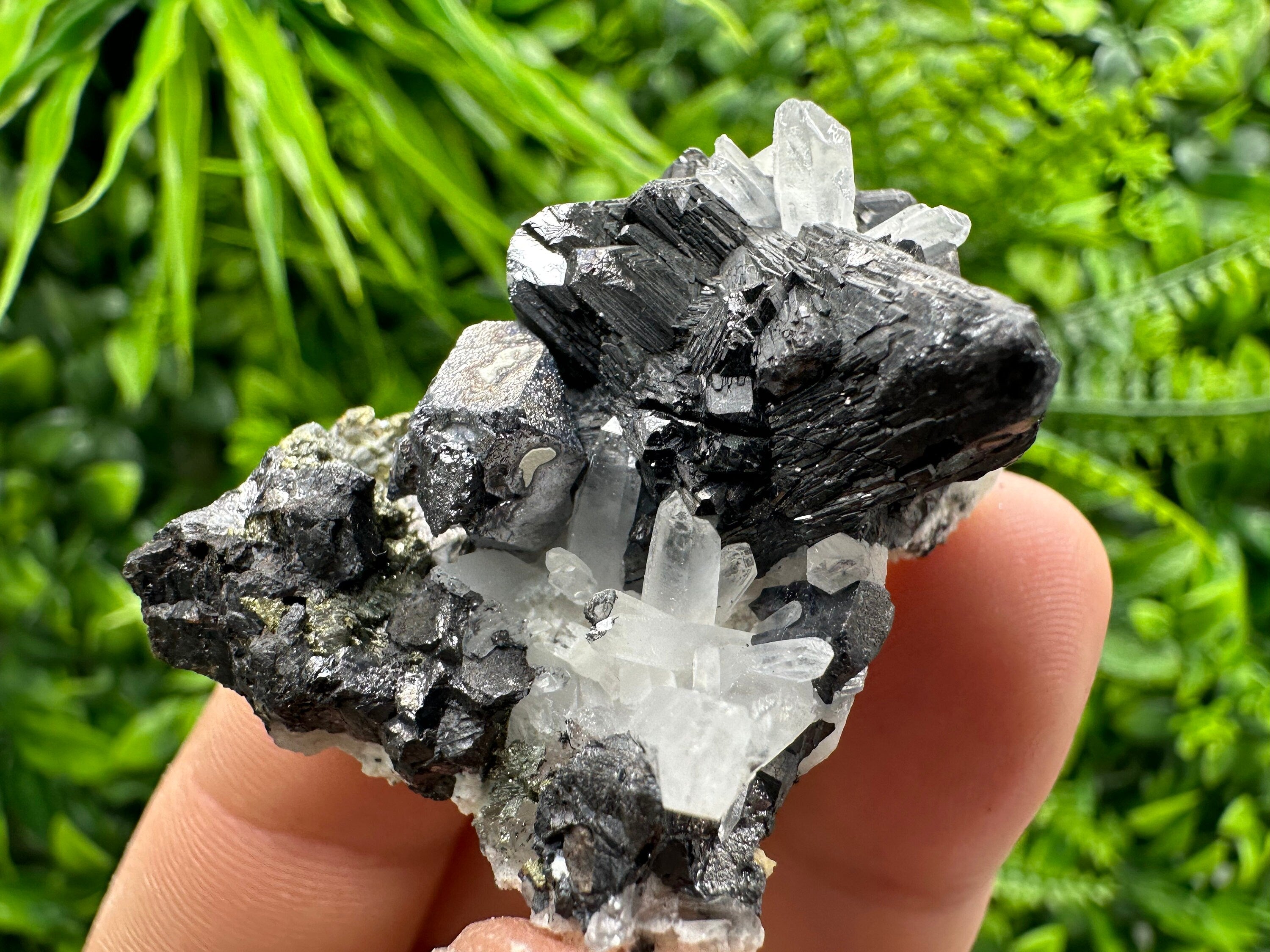 Sphalerite, Galena, Pyrite on Quartz Cluster - Borieva Mine, Bulgaria