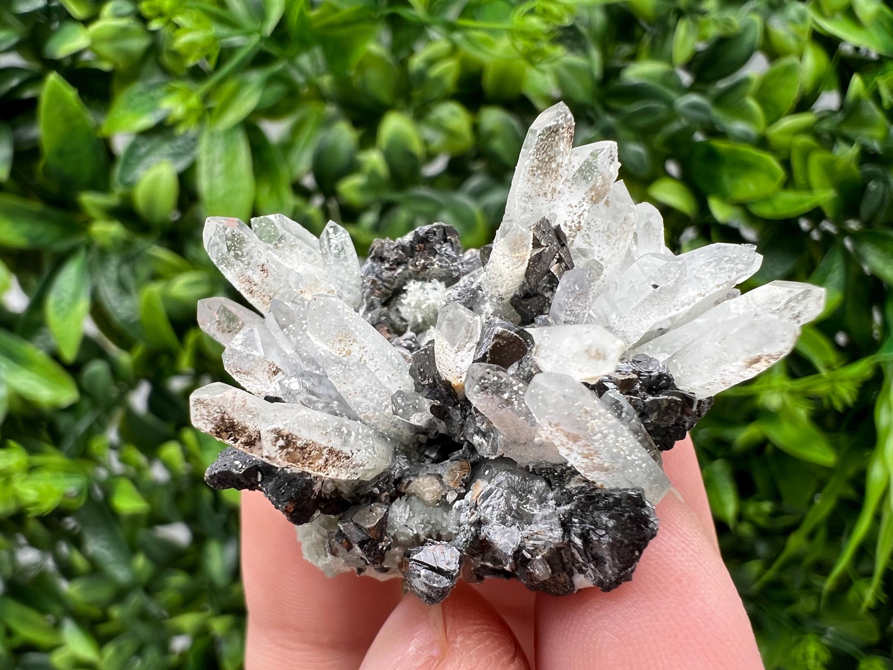 Transparent Quartz,Chlorite,Chalcopyrite Matrix,From Borieva mine,Madan,Bulgaria,Quartz,Quartz crystal,mineral specimen,collection quartz