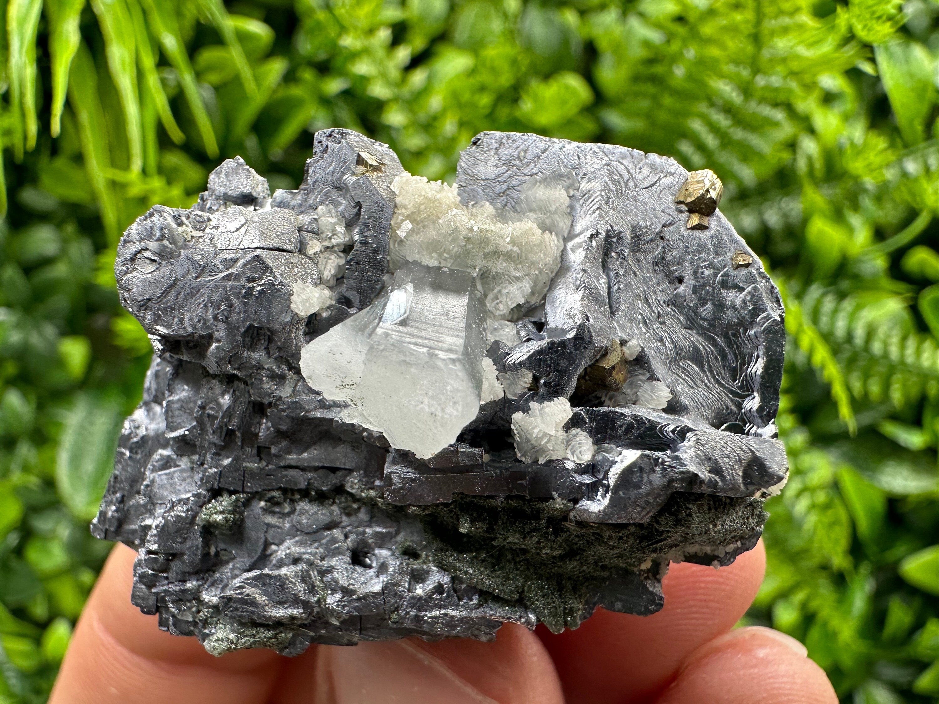 Galena Cluster: Shiny Mineral Stone from Borieva Mine, Bulgaria