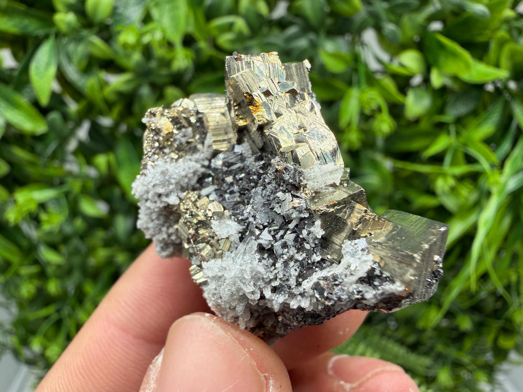 Pyrite Sphalerite Quartz  Mineral Specimen, Krushev dol Mine