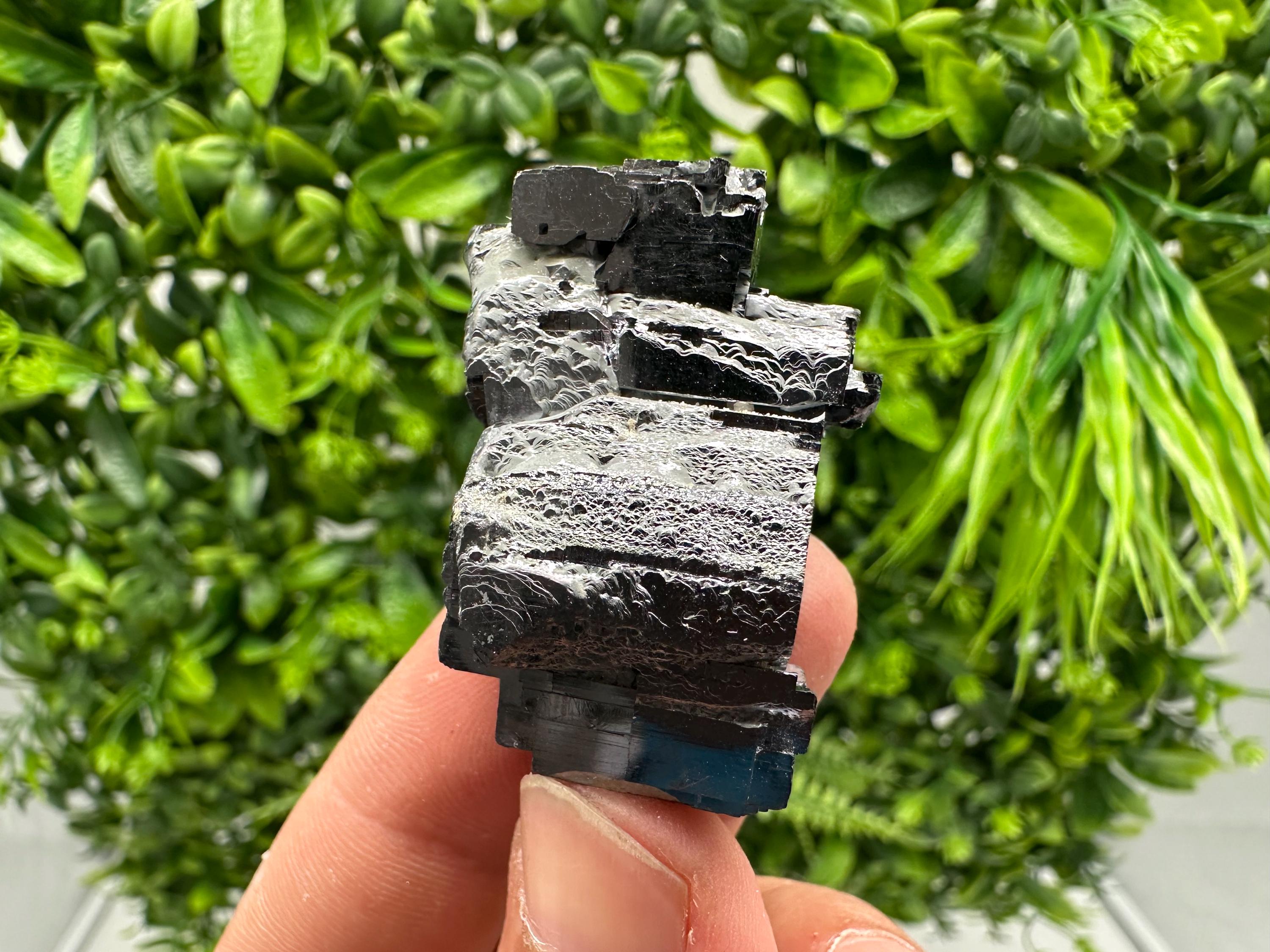 Shiny Galena Cluster: Borieva Mine, Bulgaria - Natural Mineral Stone