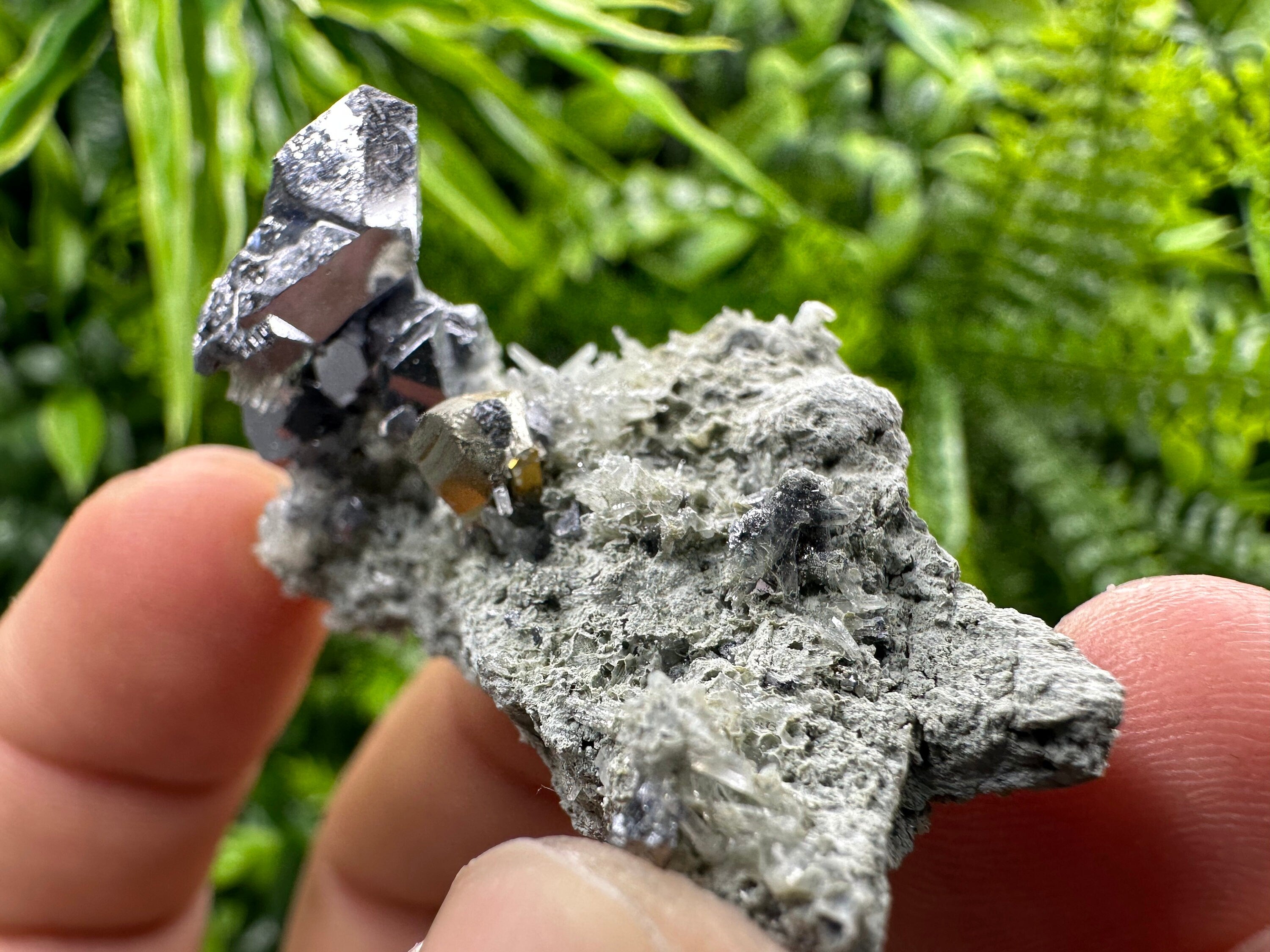 Spinel Law Galena on Quartz with Chalcopyrite: Borieva Mine Minerals