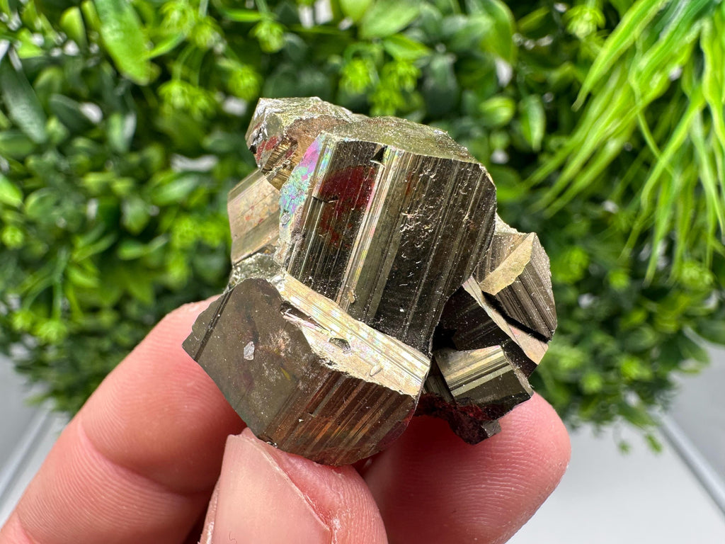 Rare Mini Pyrite Cluster: Golden Rainbow Crystallization from Borieva Mine