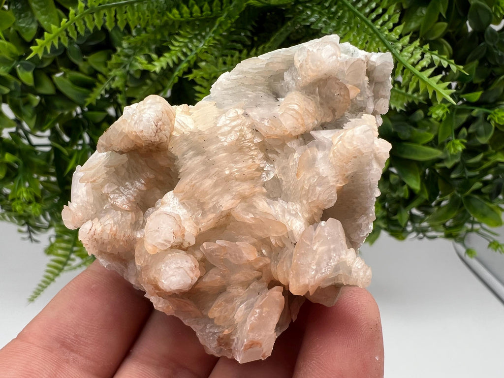 Rare Mangano Calcite Crystal: Borieva Mine, Bulgaria