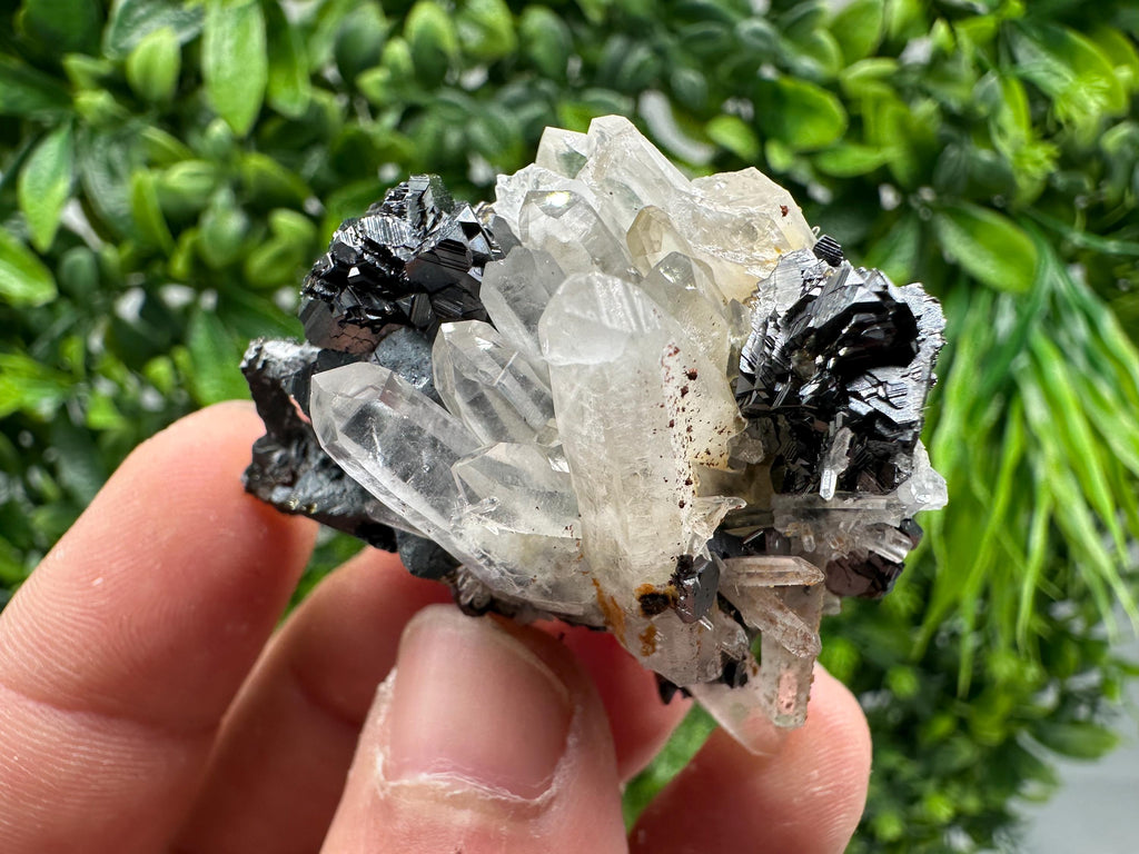 Wonderful Sphalerite Chalcopyrite on  Quartz whit Galena feom 9 th September mine,Bulgaria,natural,collection mineral specimen,gift