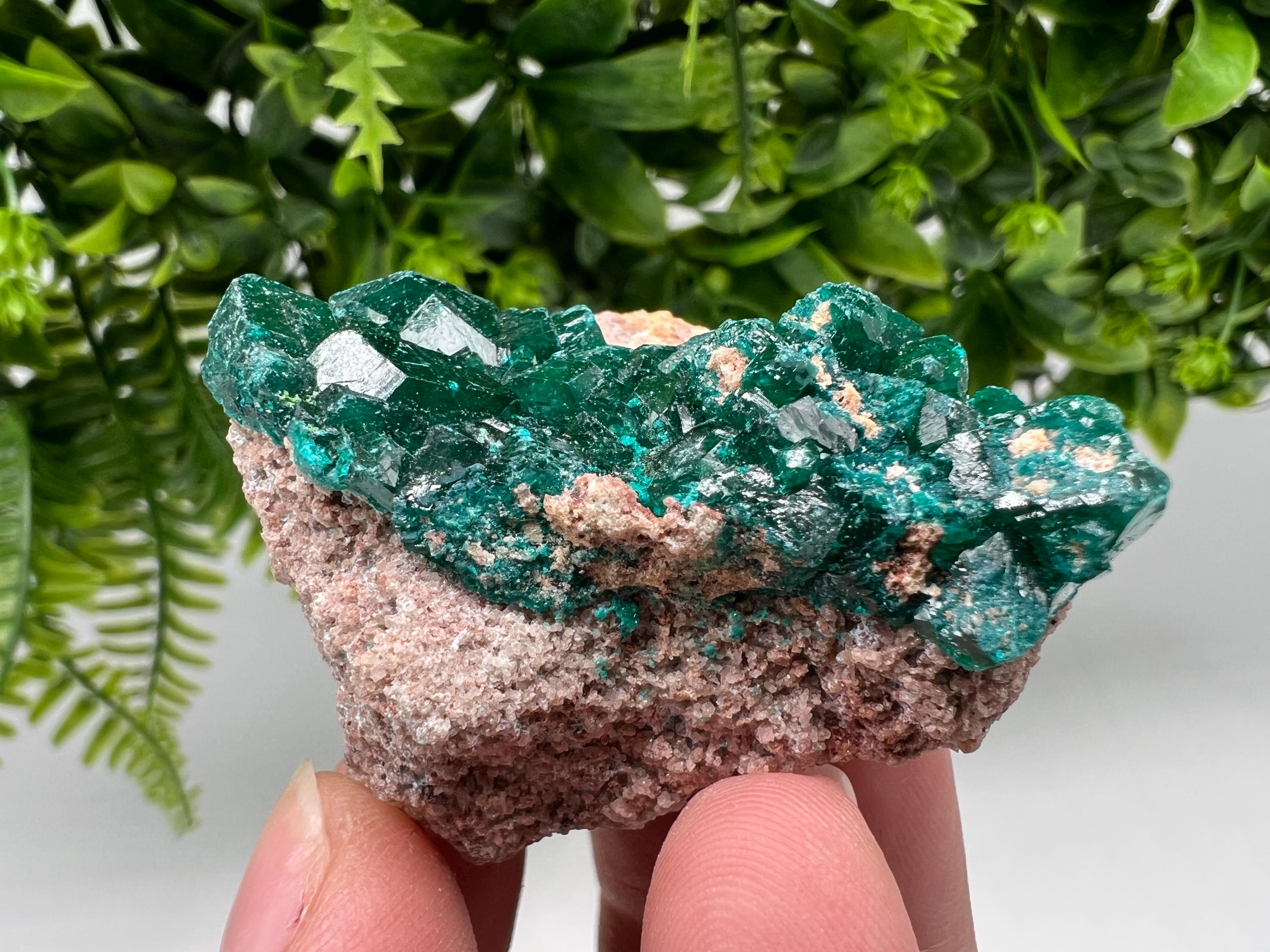 Stunning Green Dioptase from Sanda Hills,Mindouli,Pool Department,Mindouli District,Congo,green Dioptase,Dioptas Crystal,Dioptase collecting