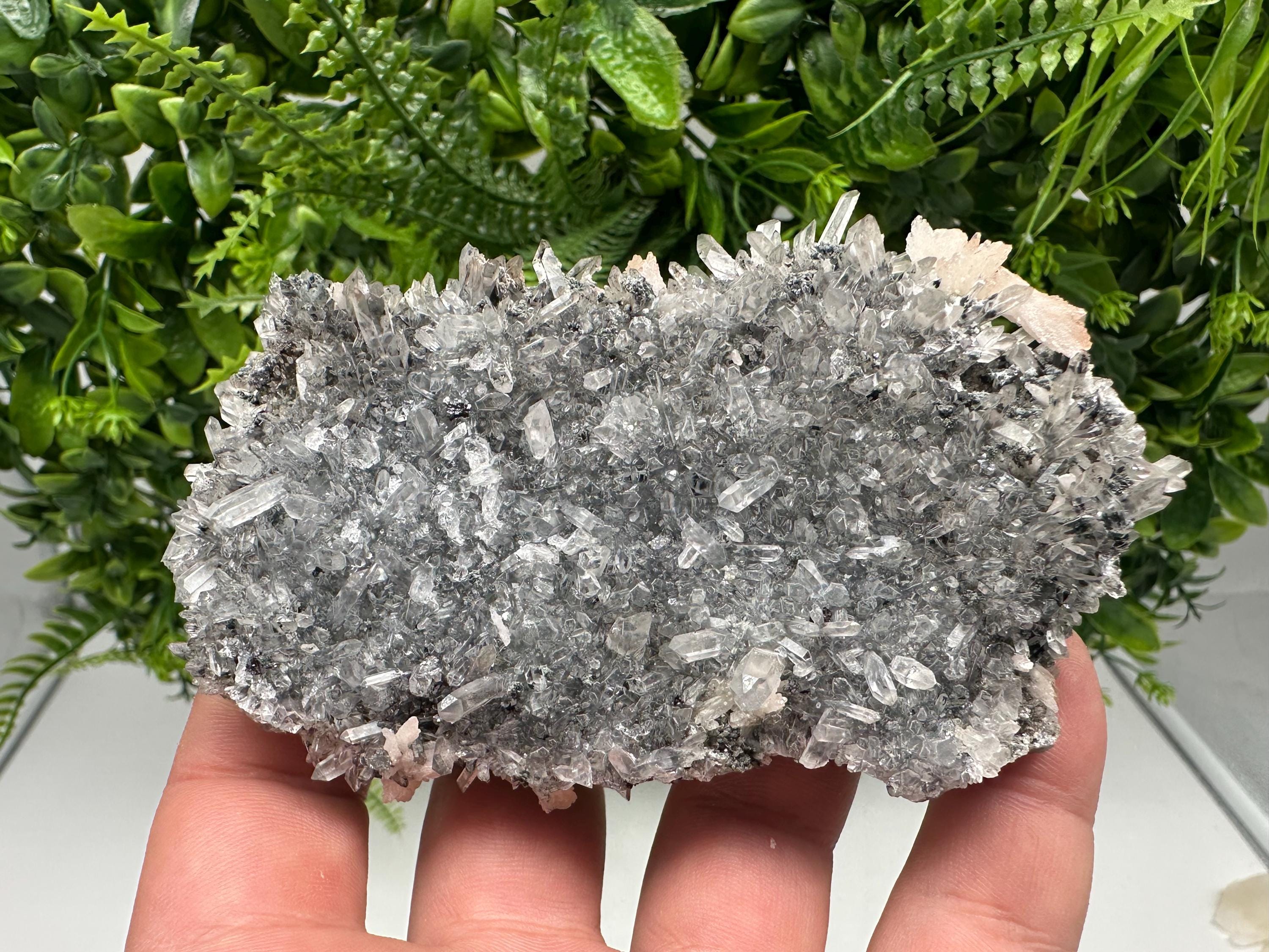 Calcite on Green Quartz: Djurcovo Mine, Bulgaria Crystal