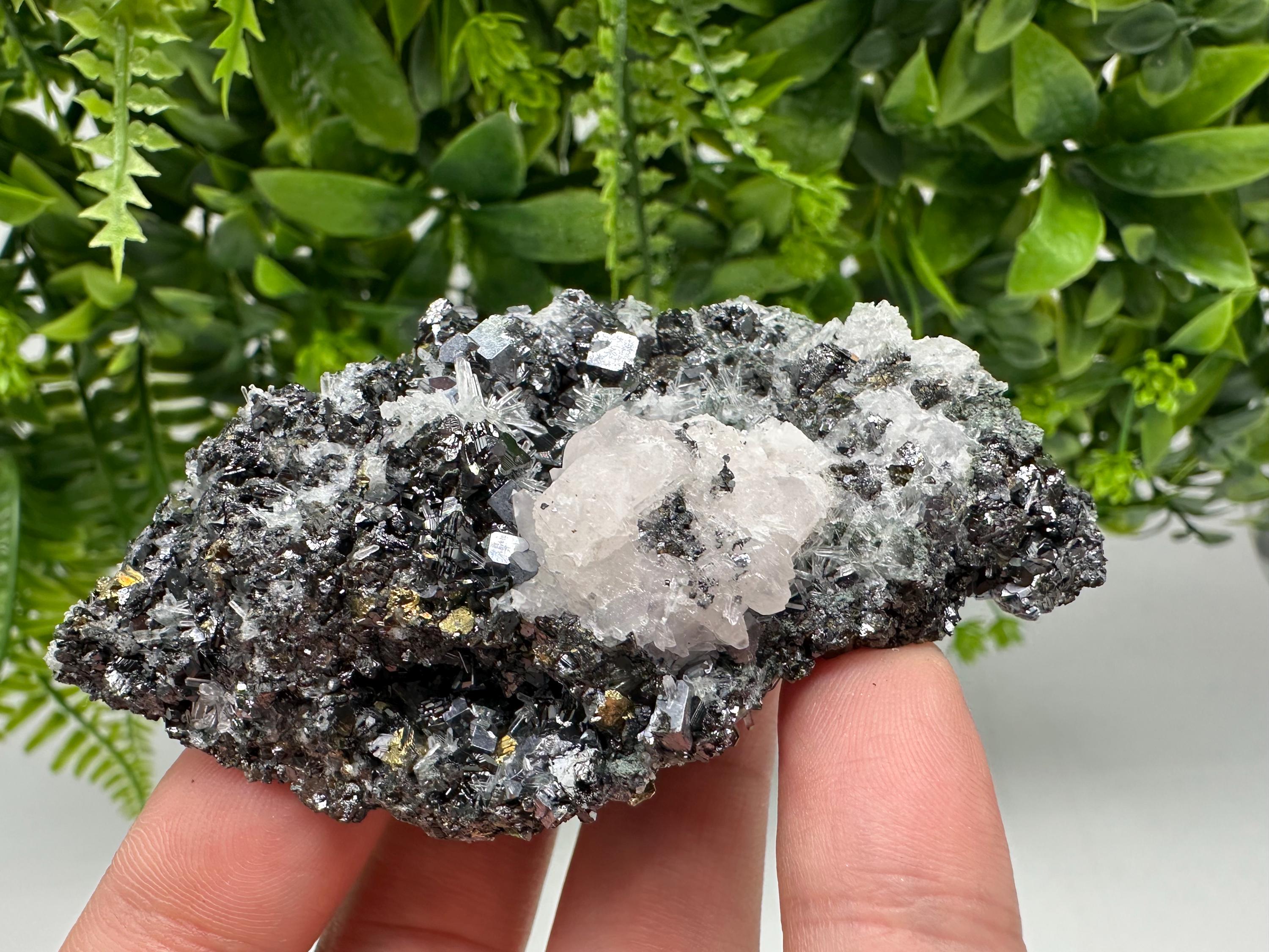 Pyrite on Green Quartz Specimen, Borieva Mine, Bulgaria