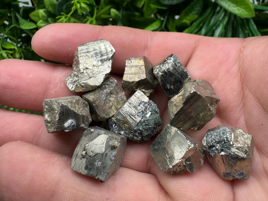 Golden Pyrite Cubes in Box: Collection Stone, Gift, Souvenir