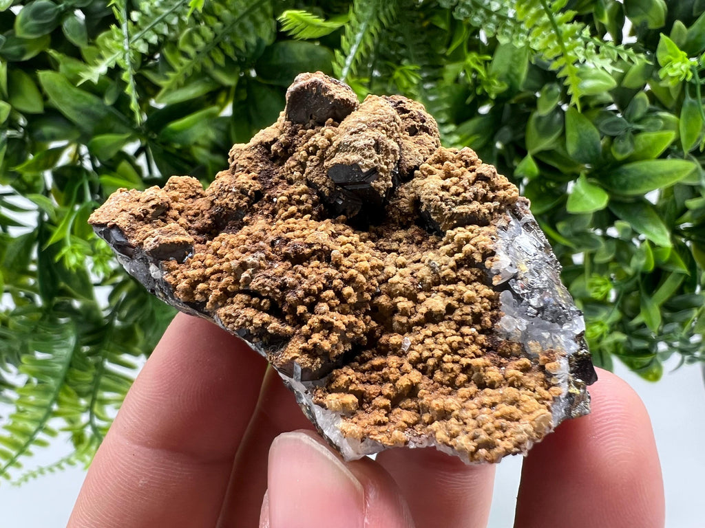 Transparent Quartz whit Sphalerite,Siderite Djurcovo Laki Bulgaria natural minerals souvenir crystal stone gift minerals collection rock