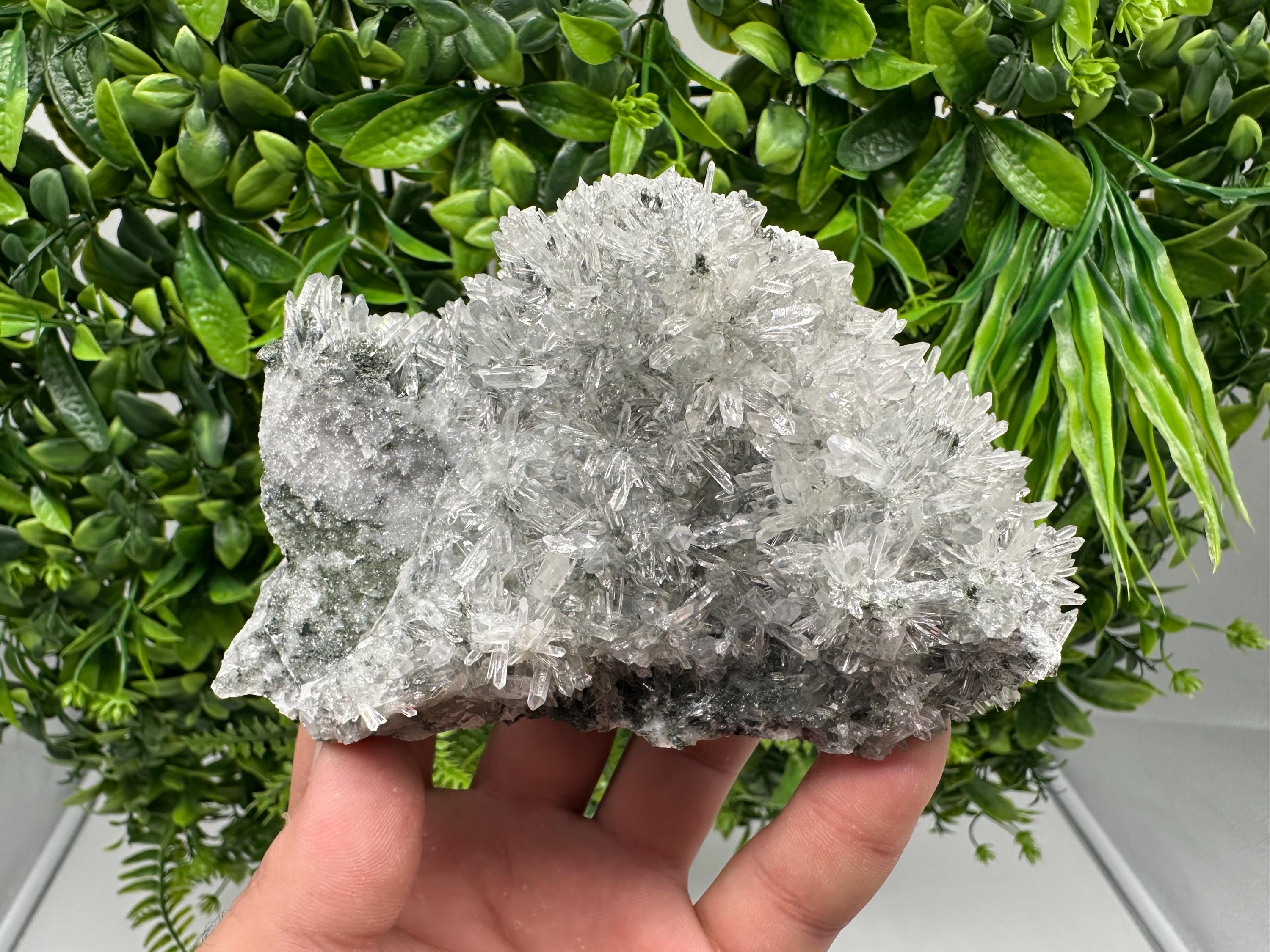 Transparent Quartz on Chlorite Matrix, Borieva Mine, Bulgaria
