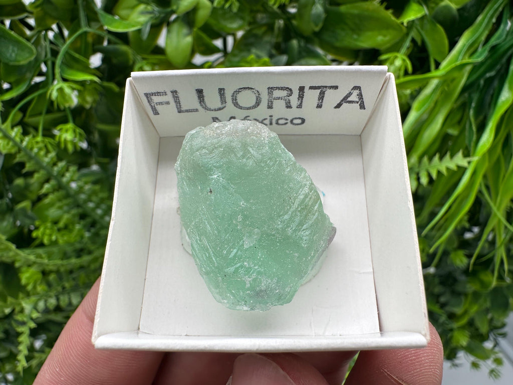 Rare Rainbow Fluorite from Mexico: Raw Meditation Stone