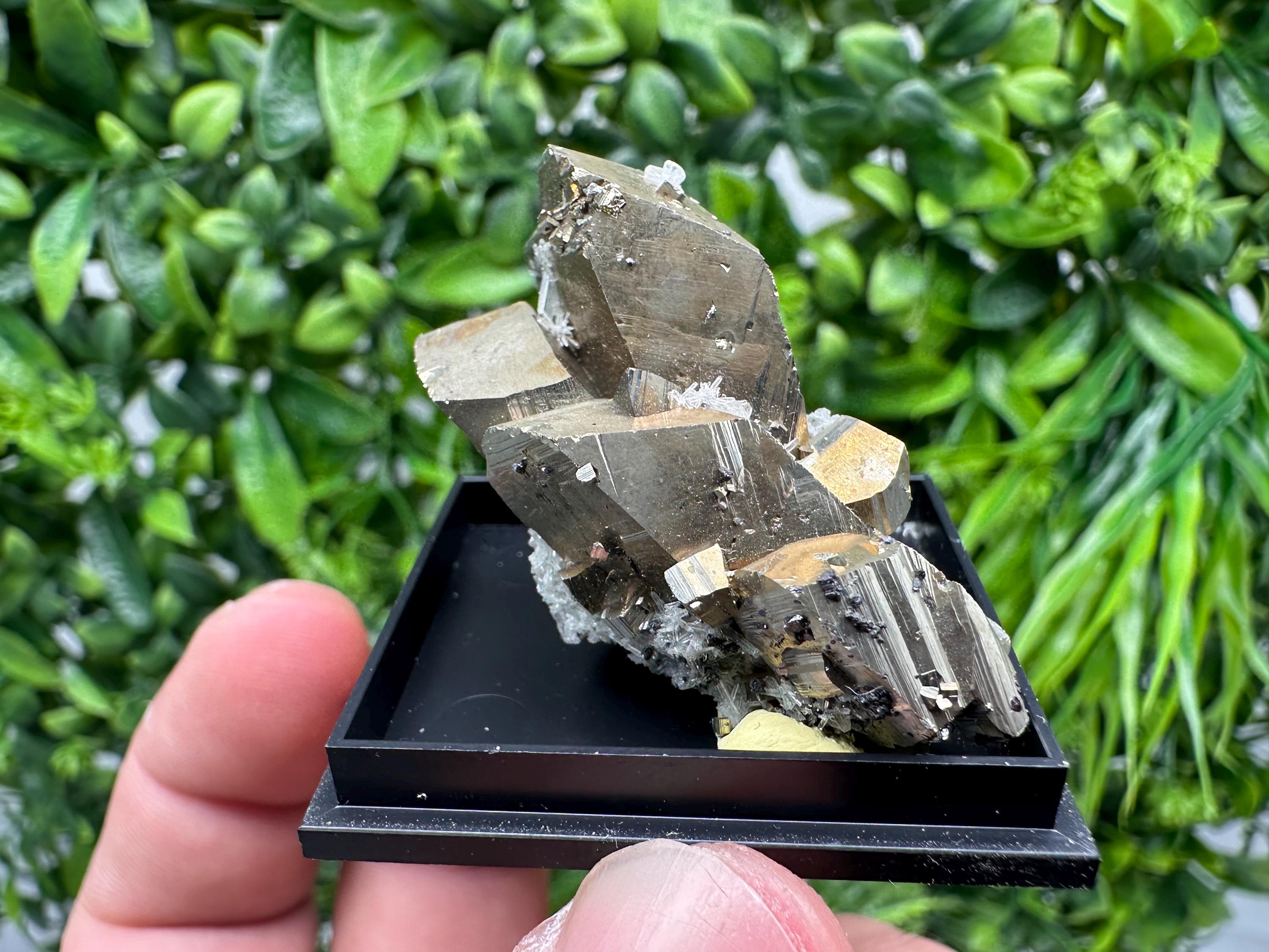 Rare Crystalline Pyrite Cluster - Borieva Mine, Bulgaria