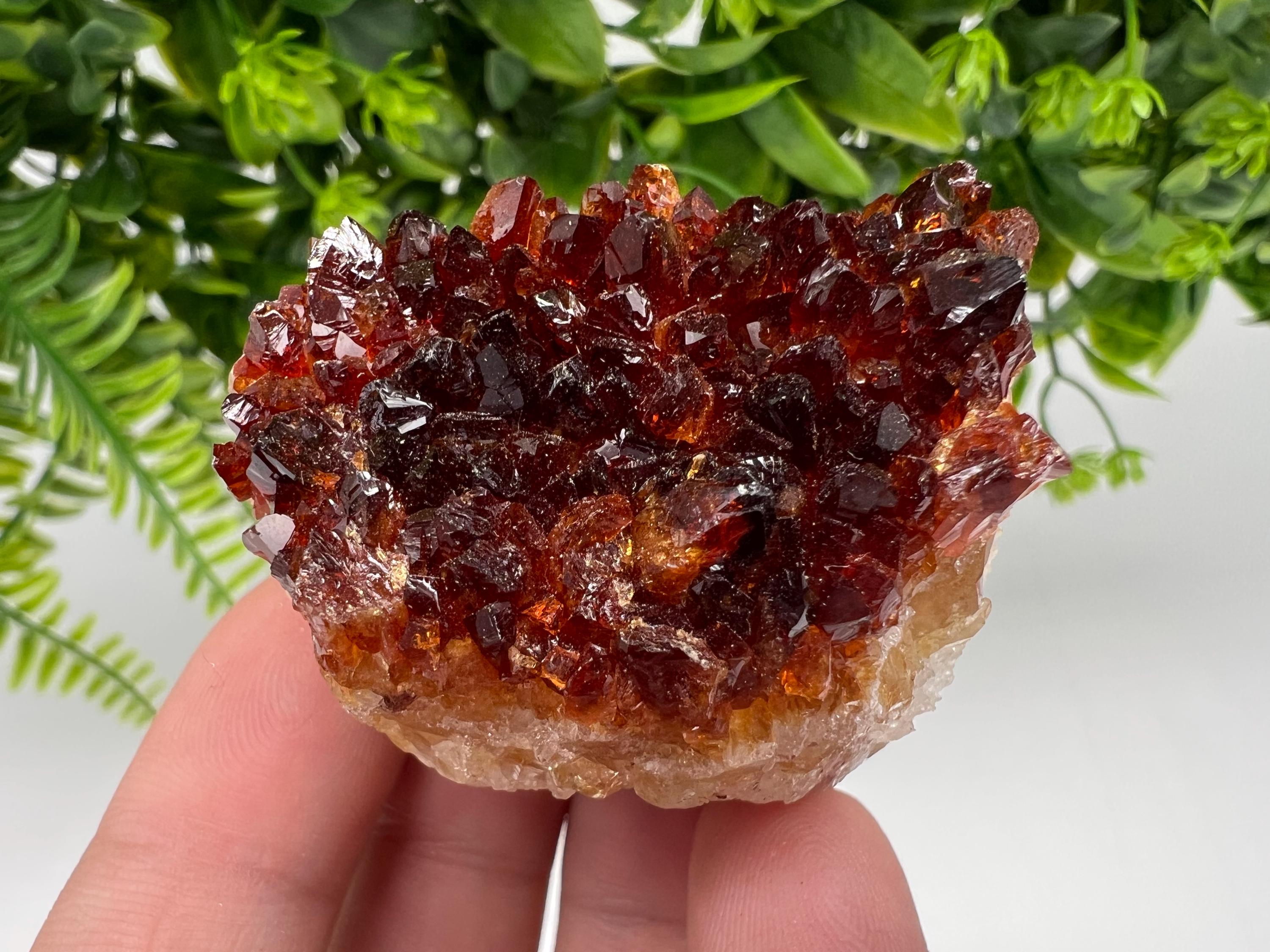 Citrine Crystal Cluster with Hematite Inclusions - Brazil