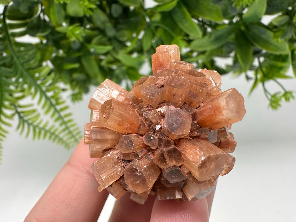 Aragonite Sputnik Cluster: Raw Moroccan Crystal Stone, Home Decor