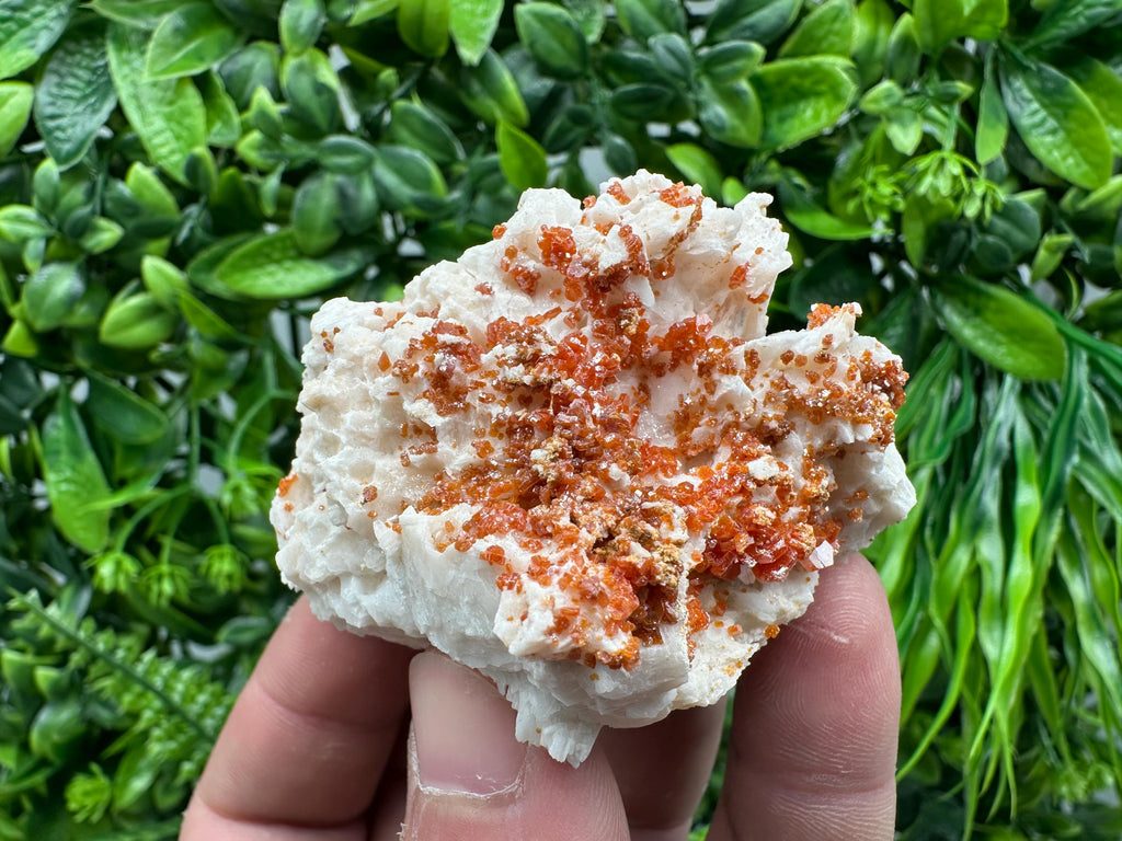 Red Vanadinite Crystal on Barite Matrix, Morocco Mineral Specimen