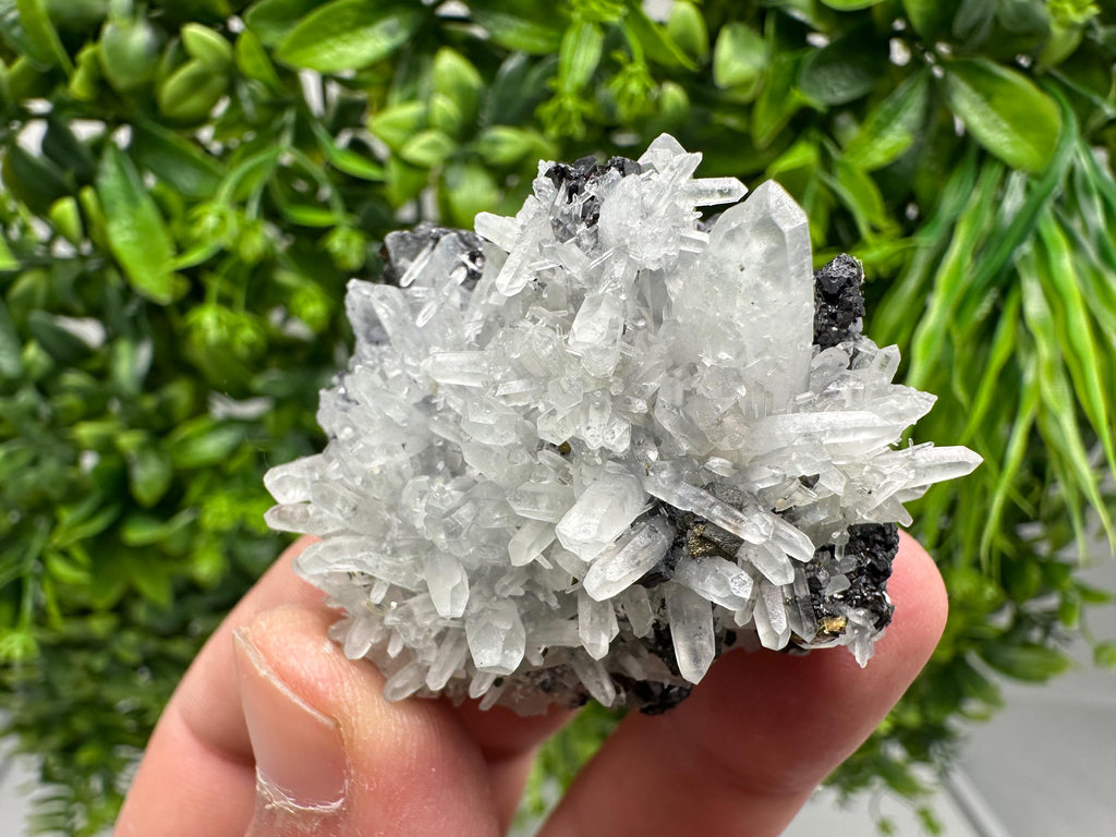 Wonderful Sphalerite Chalcopyrite on Green Quartz whit Hematite feom 9 th September mine,Bulgaria,natural,collection mineral specimen,gift