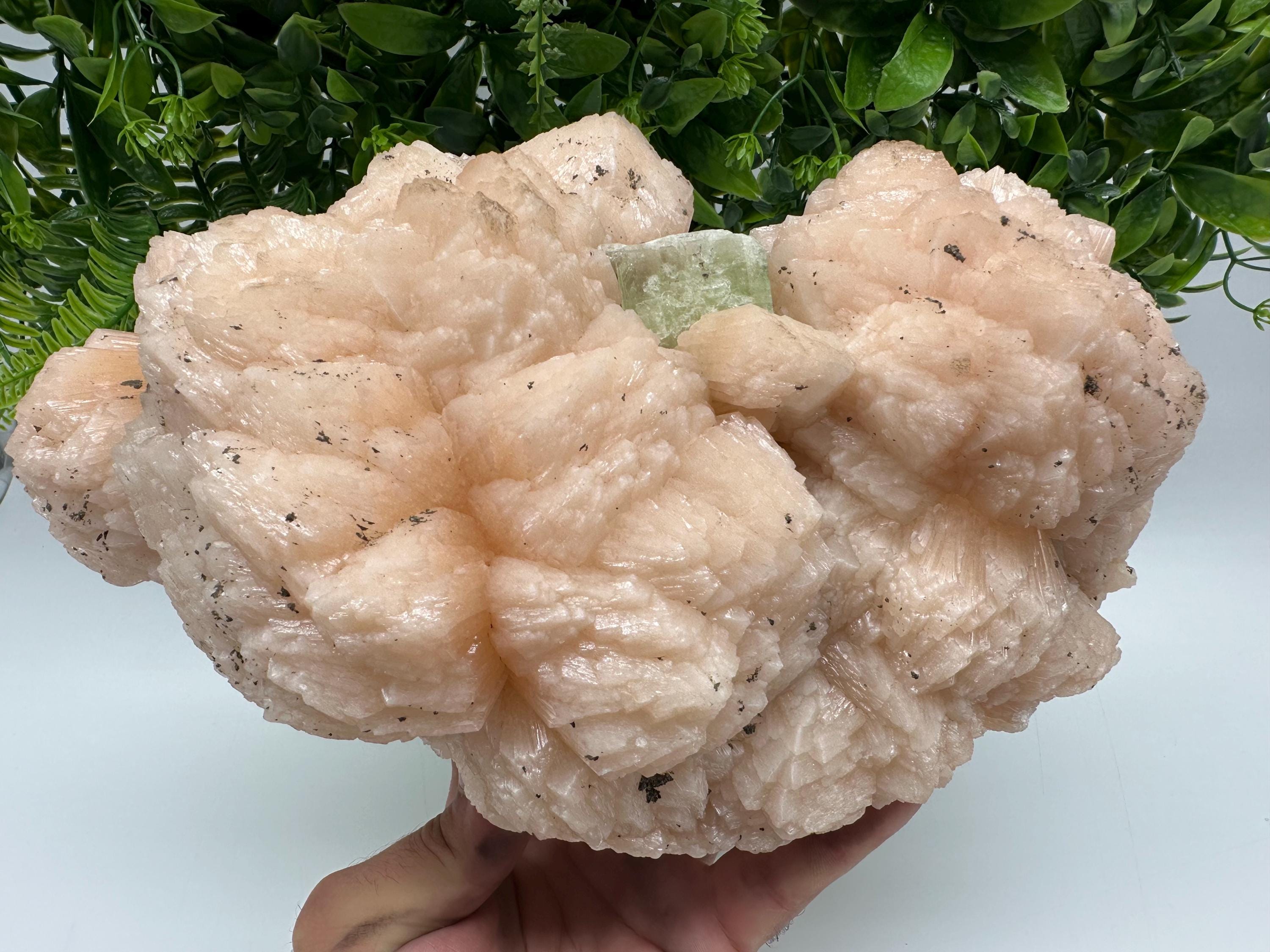 Apophyllite Stilbite on Chalcedony: Natural Mineral Specimen, India