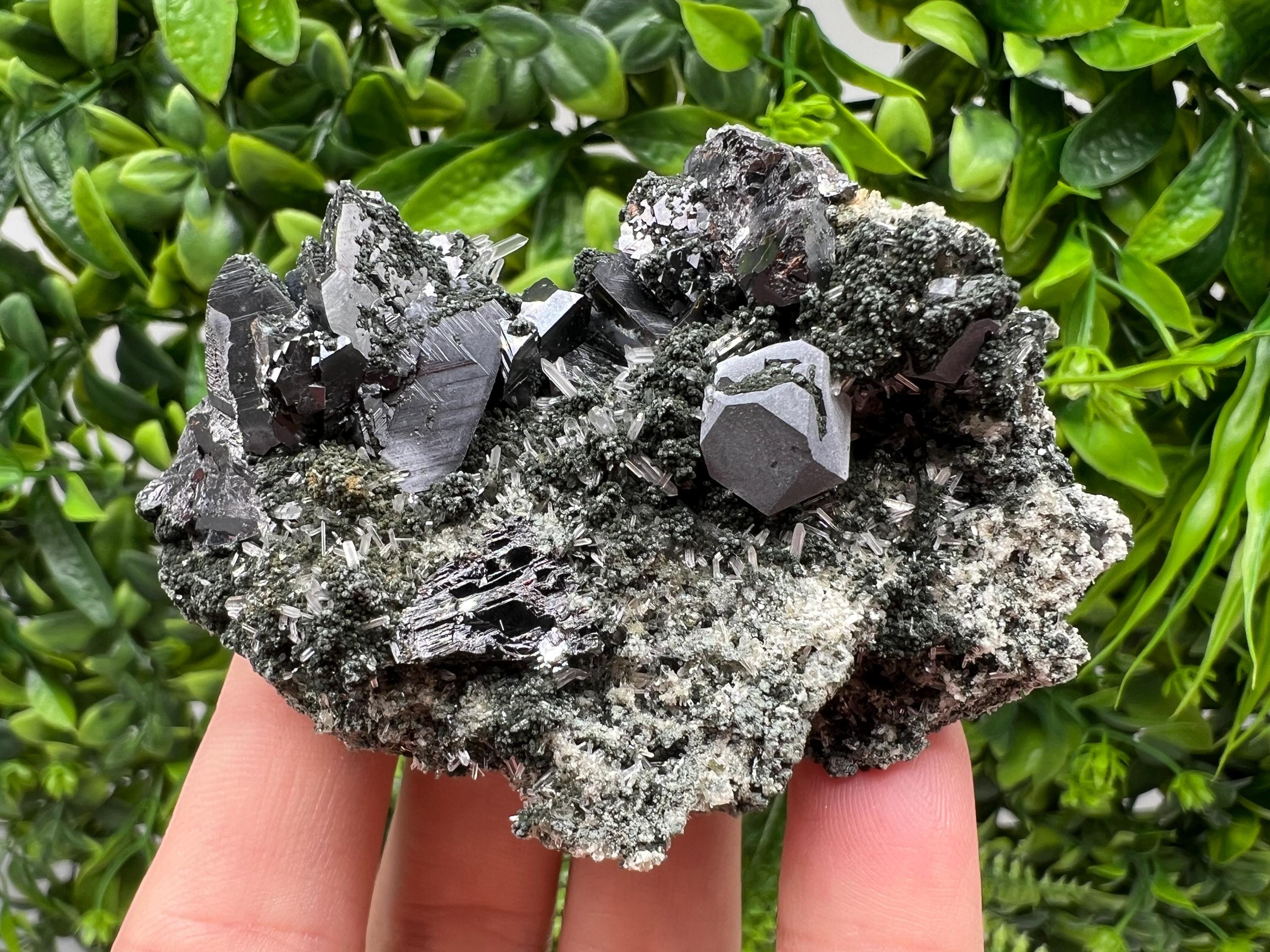 Sphalerite Galena Crystal: Chlorite Mineral Specimen, Bulgaria