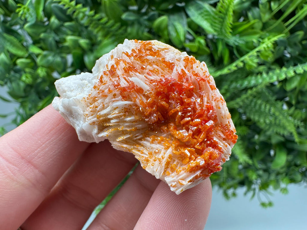 Red Vanadinite Crystal Cluster on Barite, Morocco Mineral Specimen