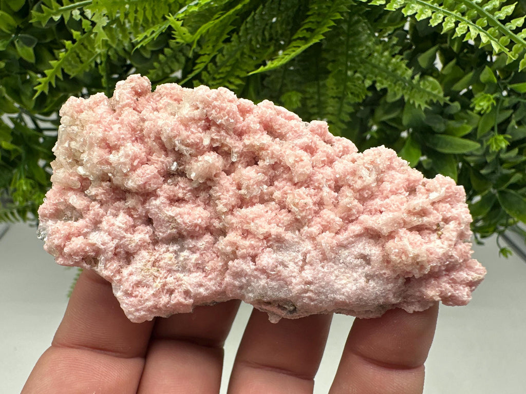 Pink Rhodochrosite Mineral Specimen: Starnica Mine, Bulgaria
