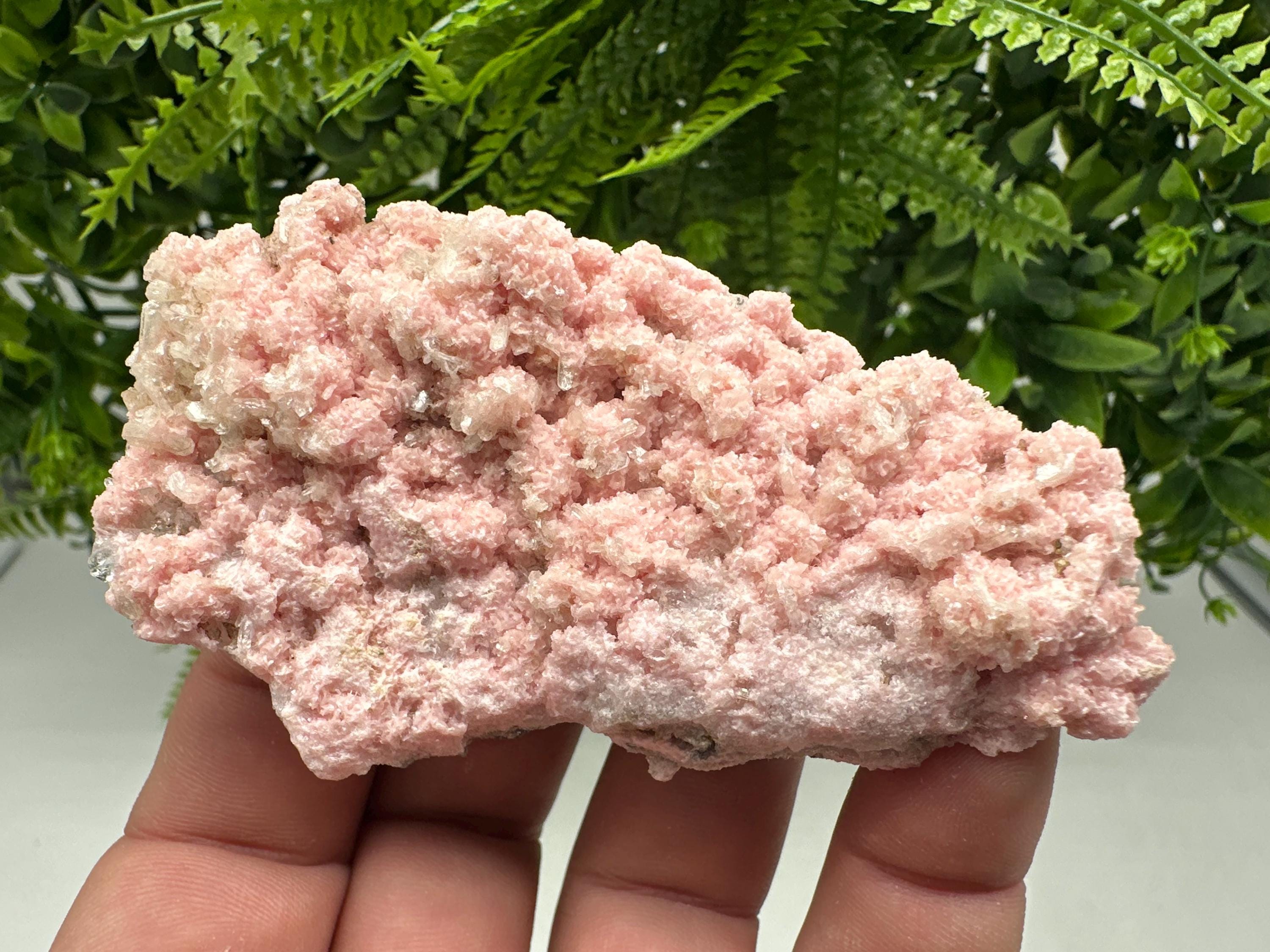 Pink Rhodochrosite Mineral Specimen: Starnica Mine, Bulgaria